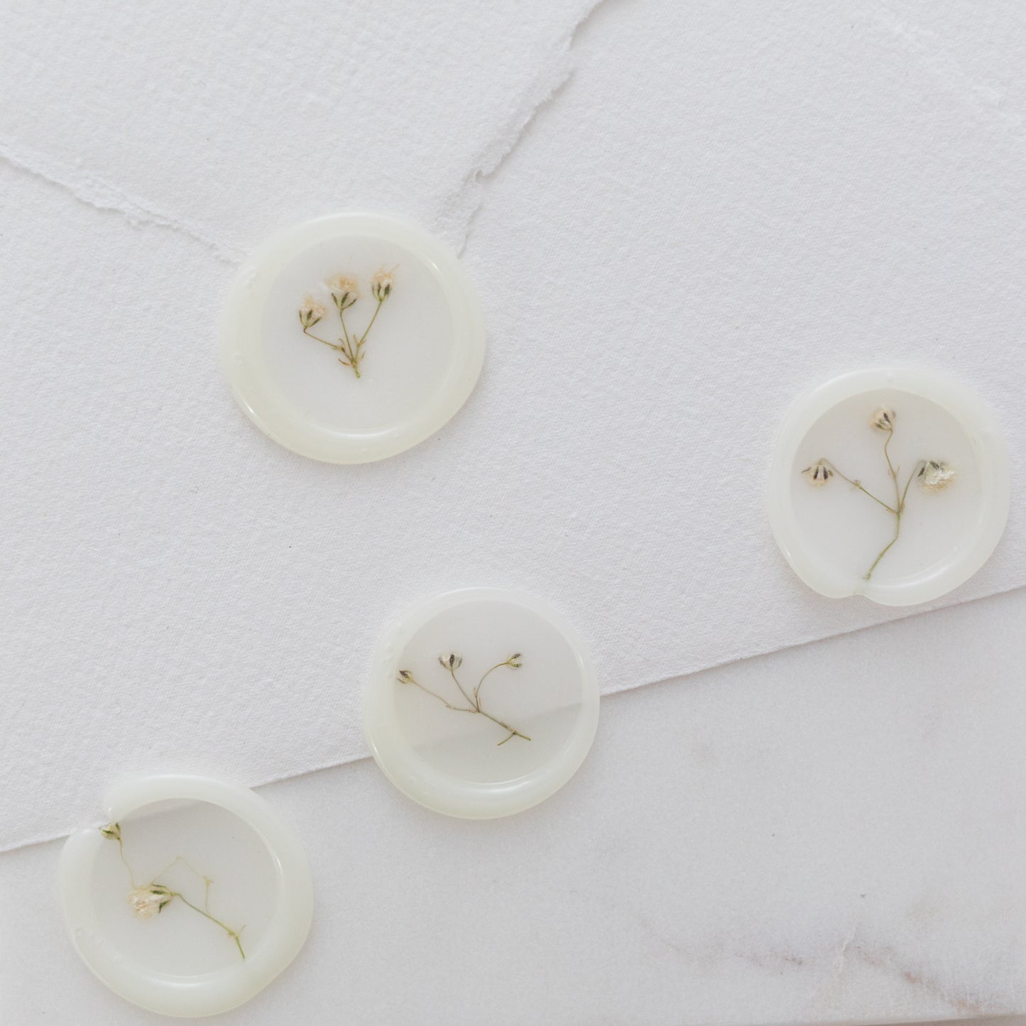 Baby's Breath (Gypsophila) Semi-Transparent Vellum Seals