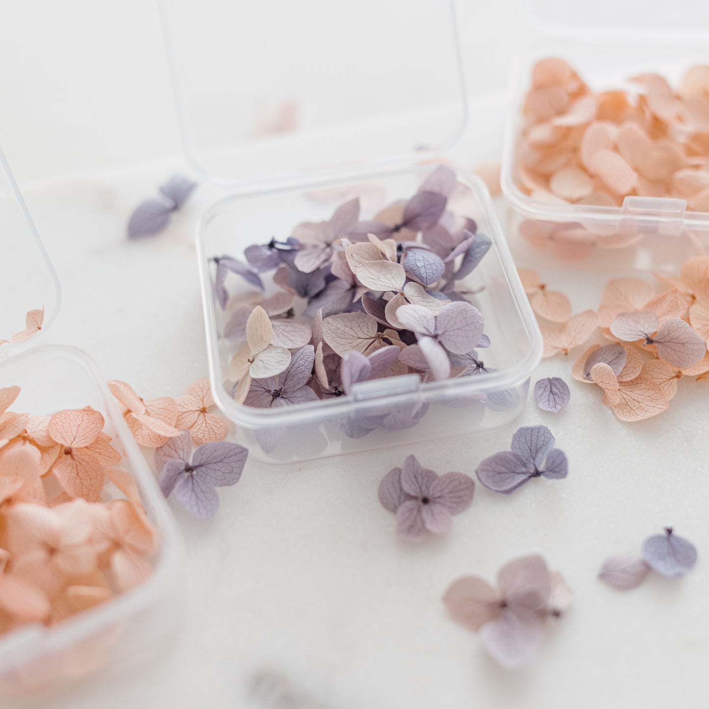 ✧ 50% OFF ✧ Dried Hydrangea Petals, 32 Colours