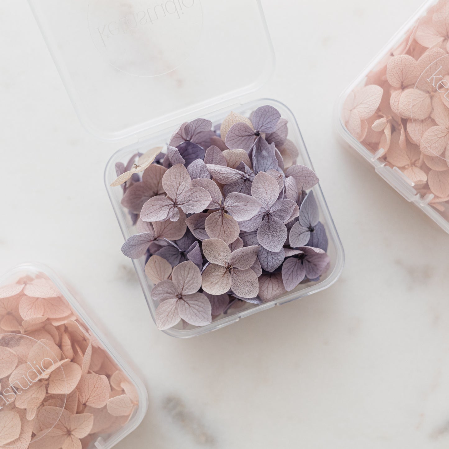 ✧ 50% OFF ✧ Dried Hydrangea Petals, 32 Colours