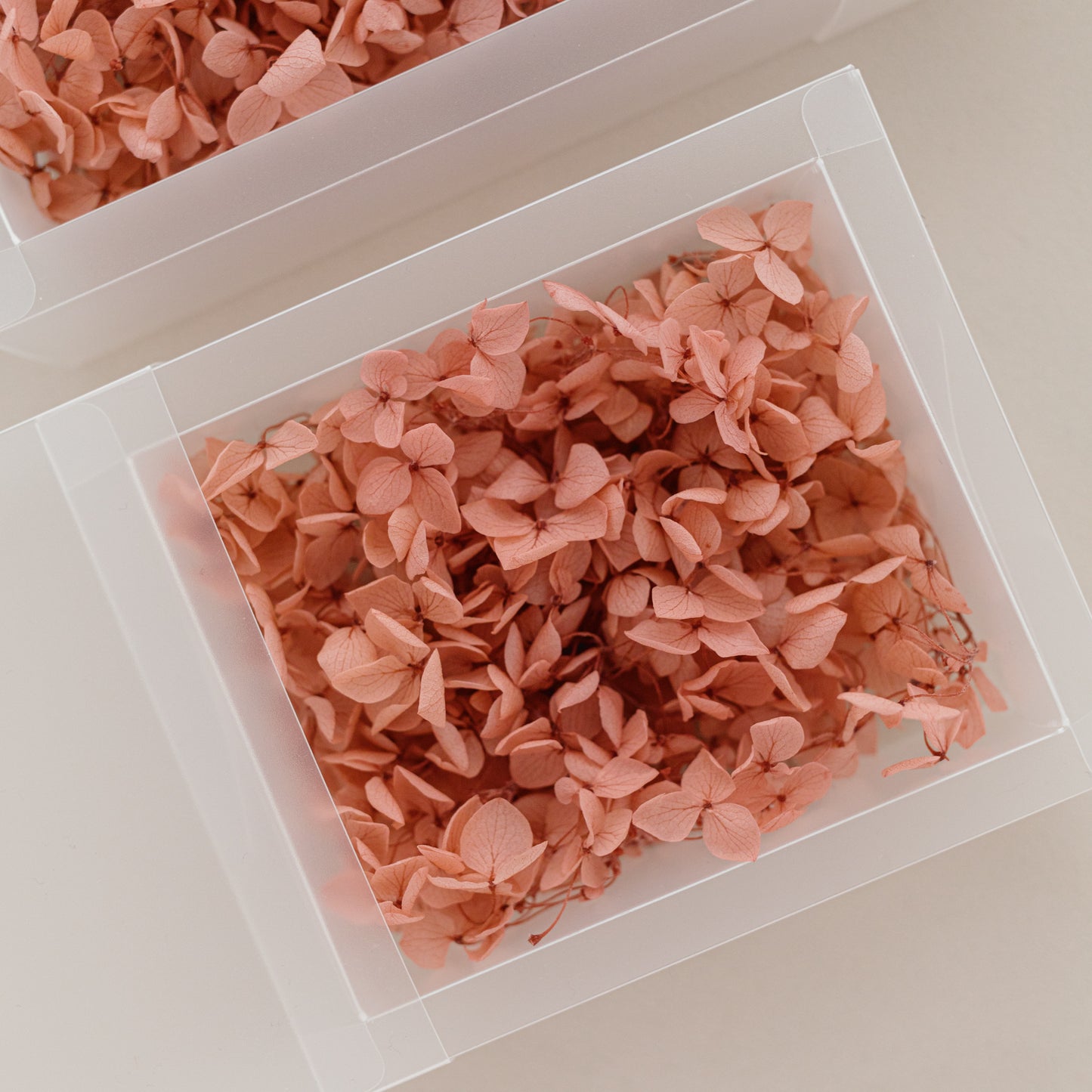 English Rose – Dried Hydrangea Box