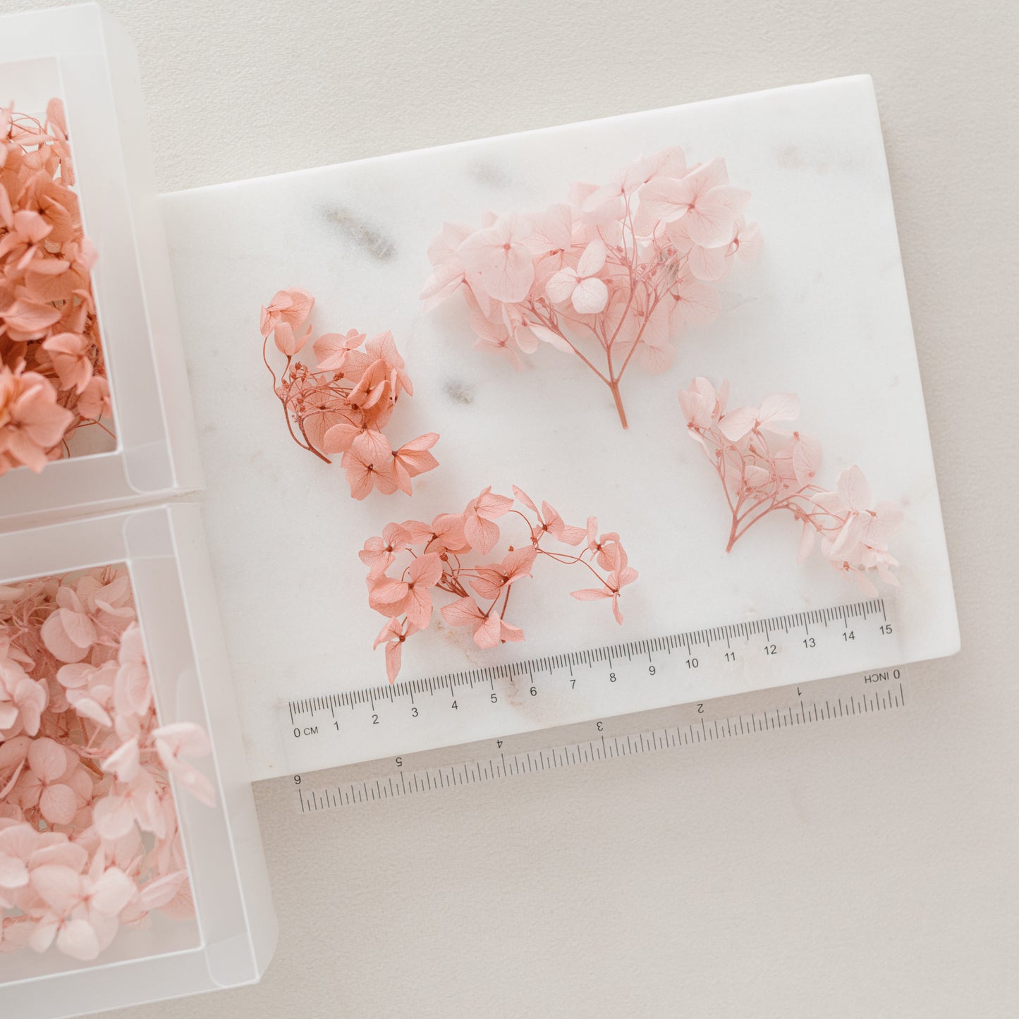 Mauve – Dried Hydrangea Box