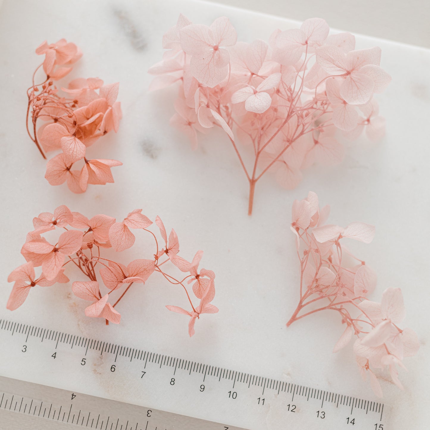 Aegean – Dried Hydrangea Box
