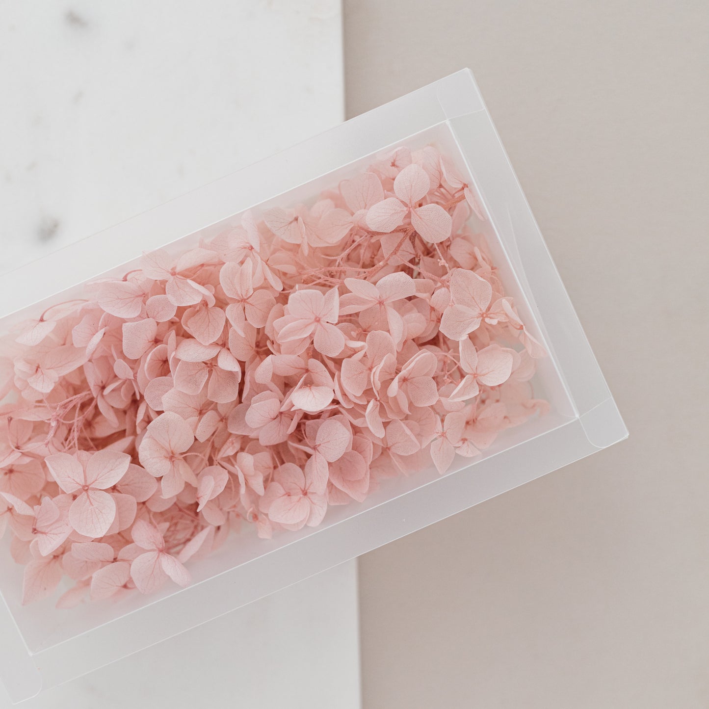 Pale Blush – Dried Hydrangea Box