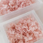 Pale Blush – Dried Hydrangea Box