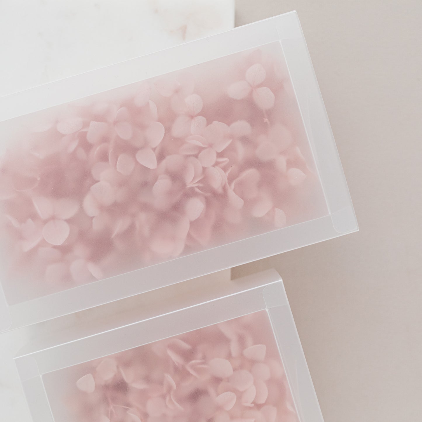 Pale Blush – Dried Hydrangea Box