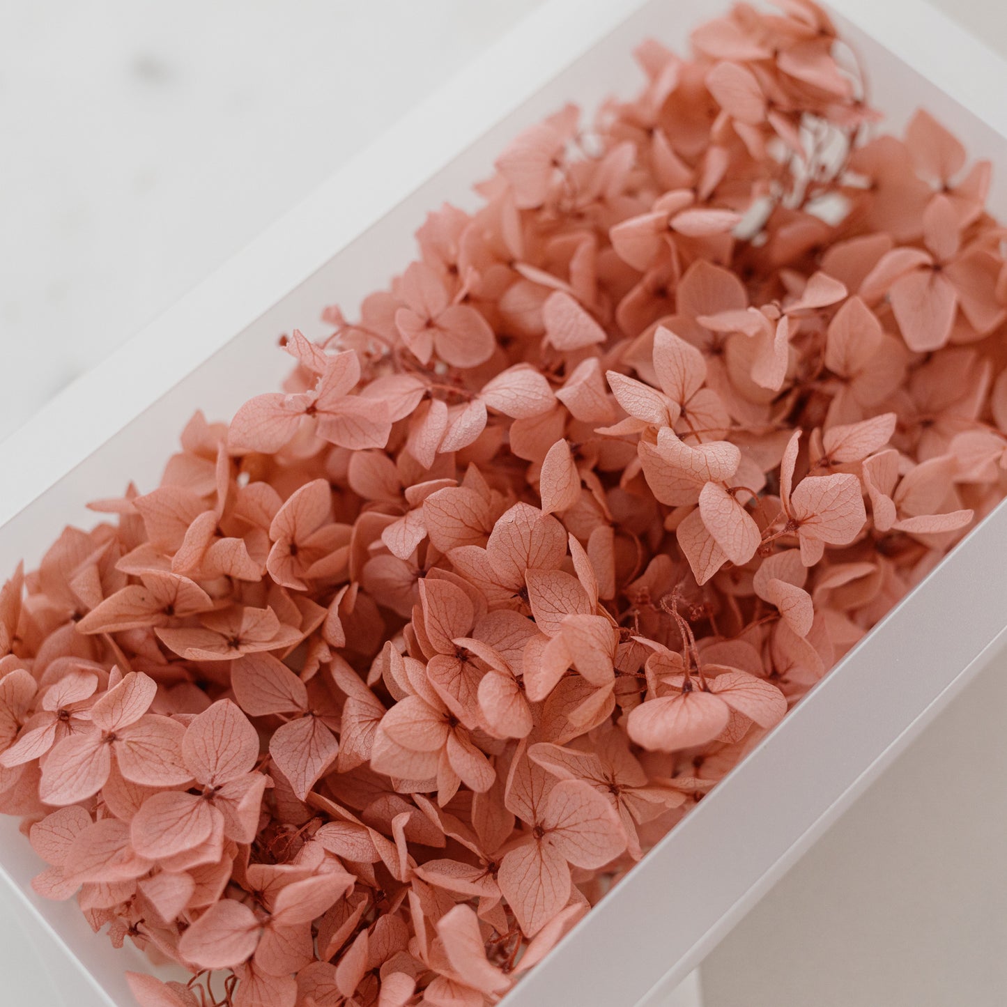 English Rose – Dried Hydrangea Box