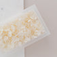 Cotton – Dried Hydrangea Box