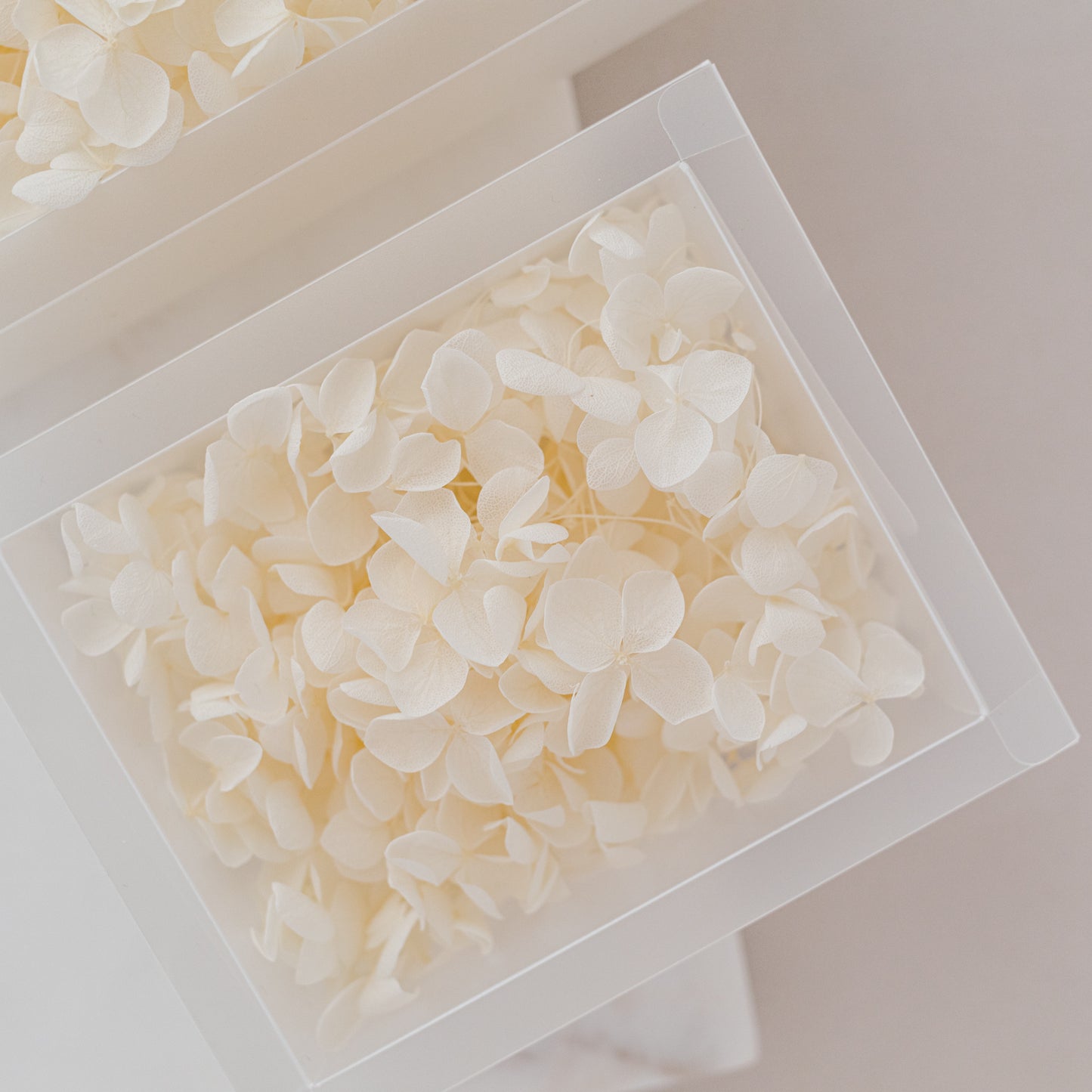 Cotton – Dried Hydrangea Box