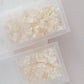 Cotton – Dried Hydrangea Box