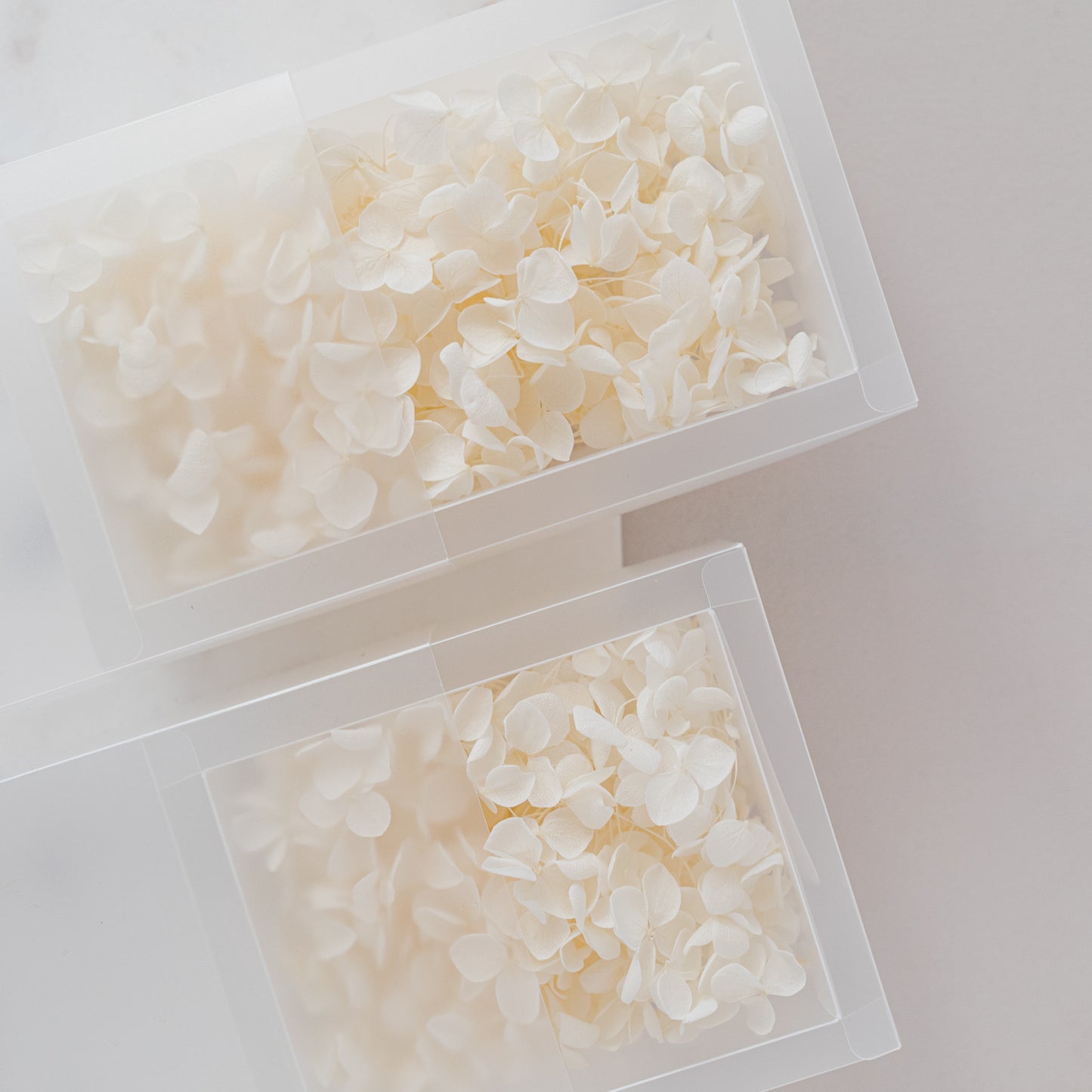 Cotton – Dried Hydrangea Box