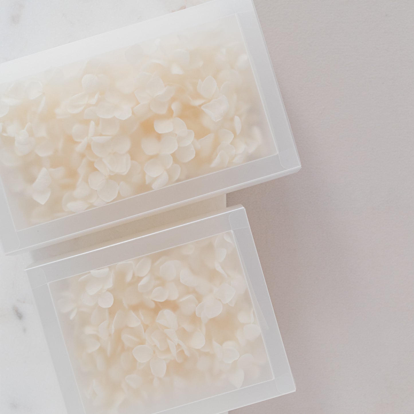 Cotton – Dried Hydrangea Box