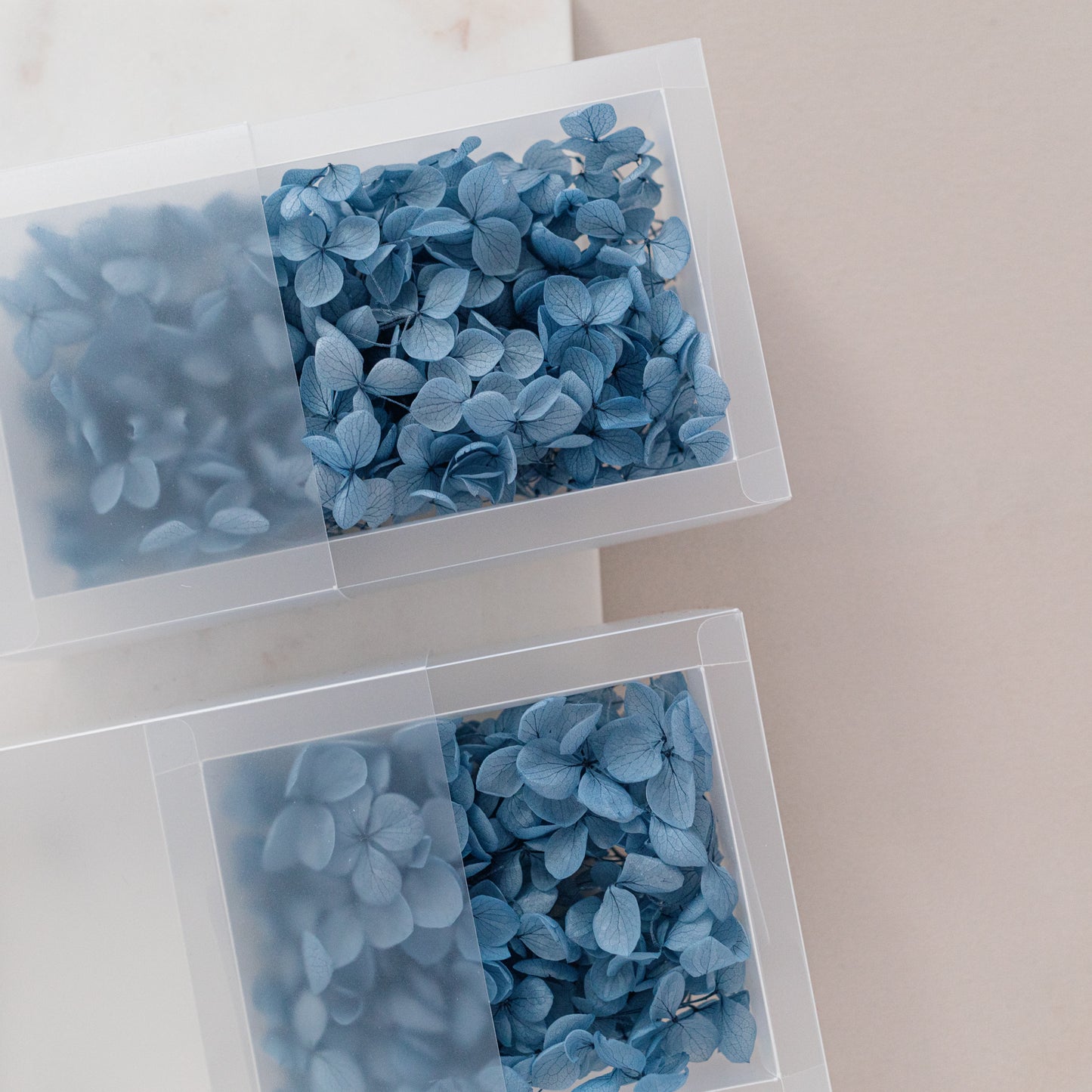 Midnight Blue – Dried Hydrangea Box