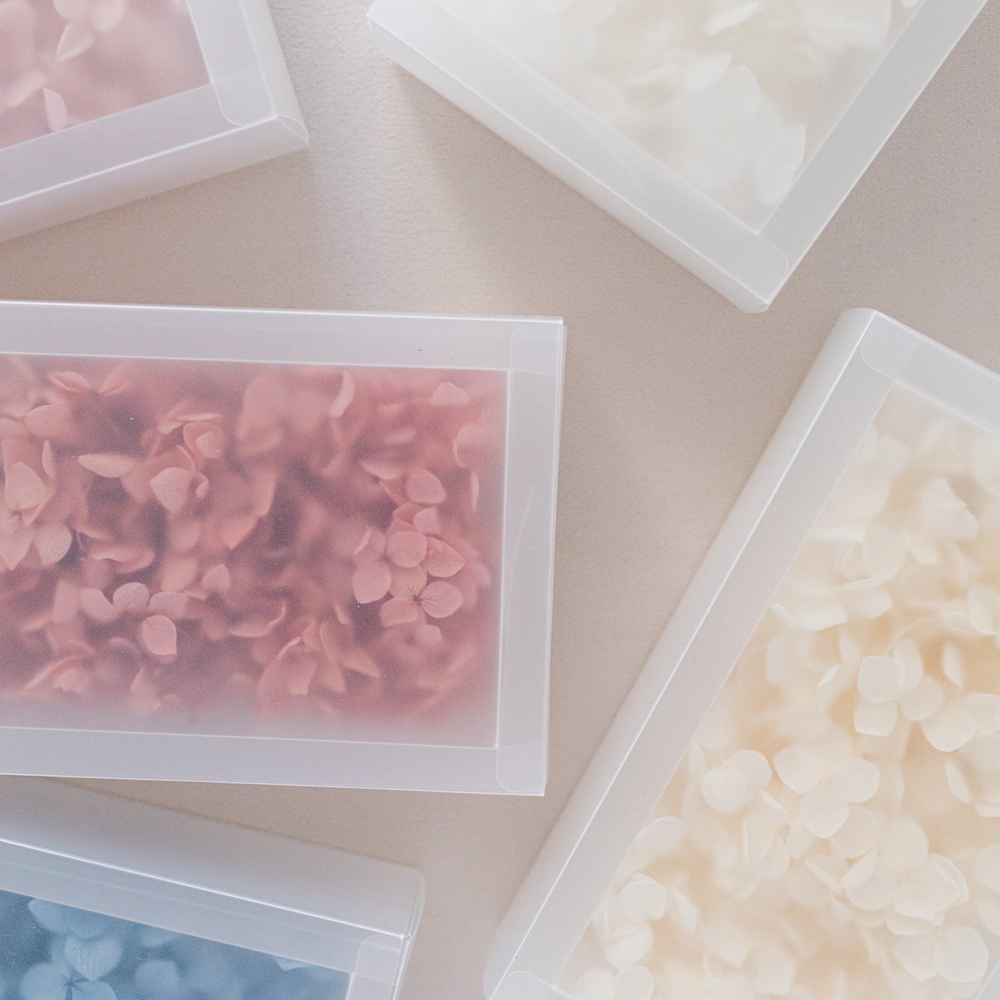 Mauve – Dried Hydrangea Box
