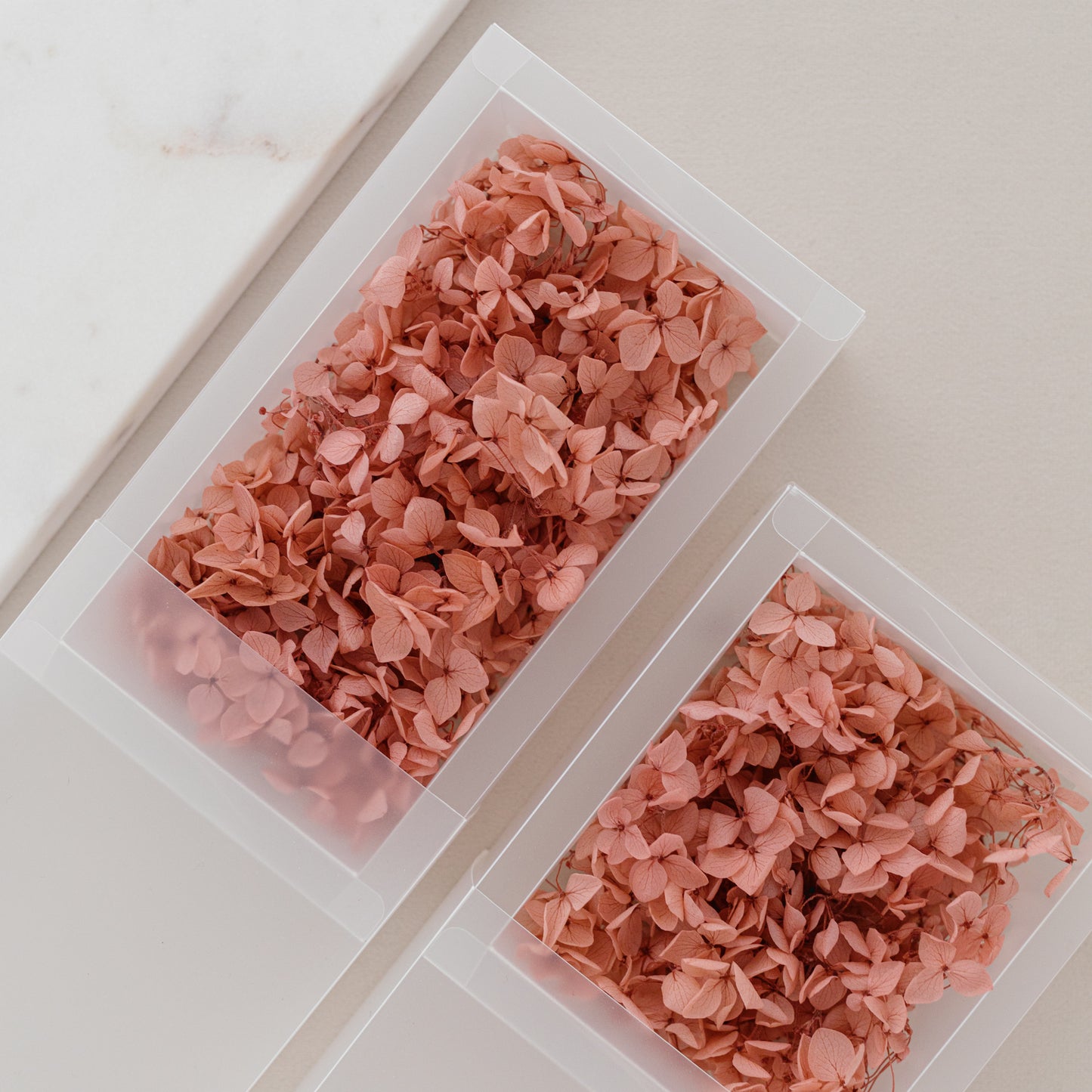 English Rose – Dried Hydrangea Box