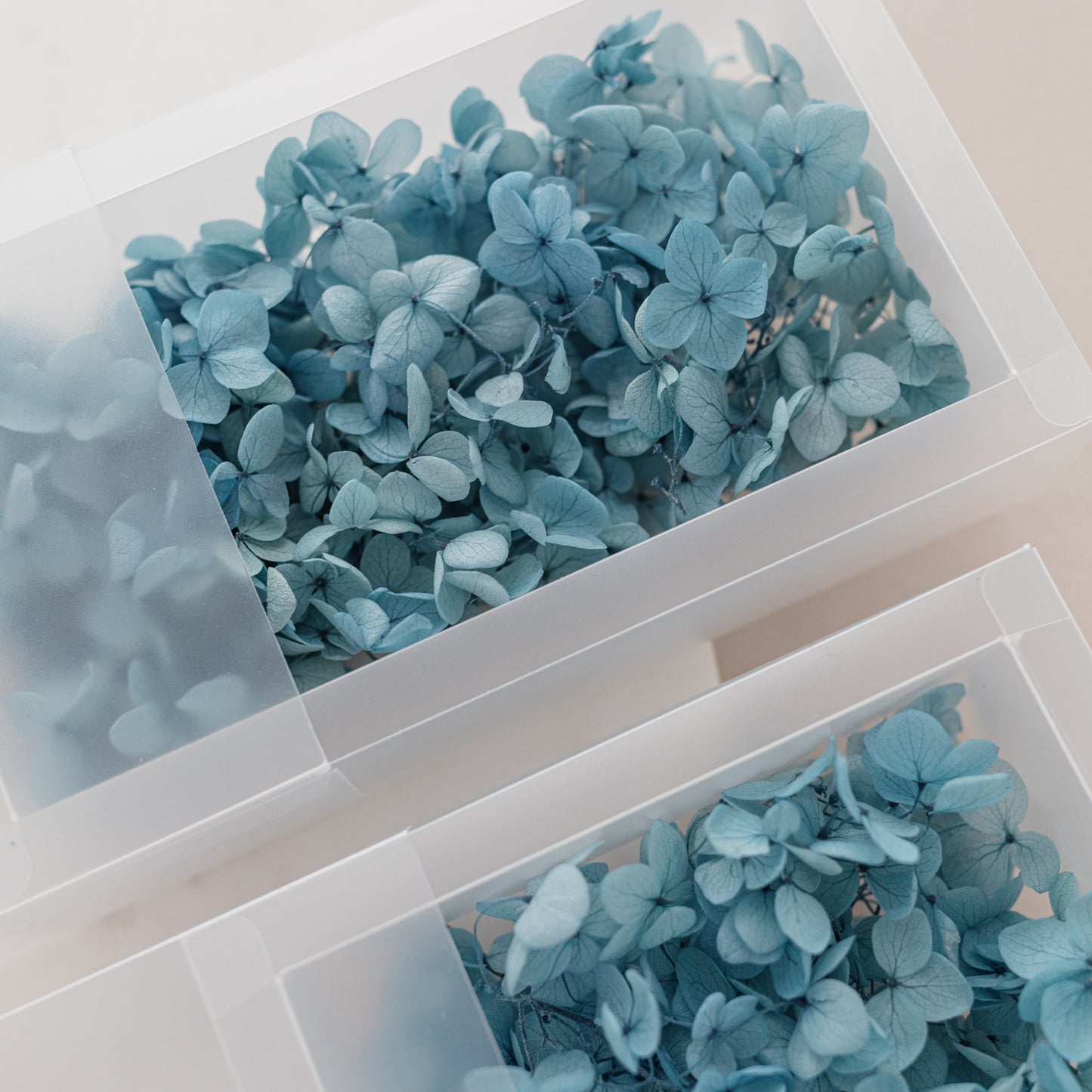 Aegean – Dried Hydrangea Box