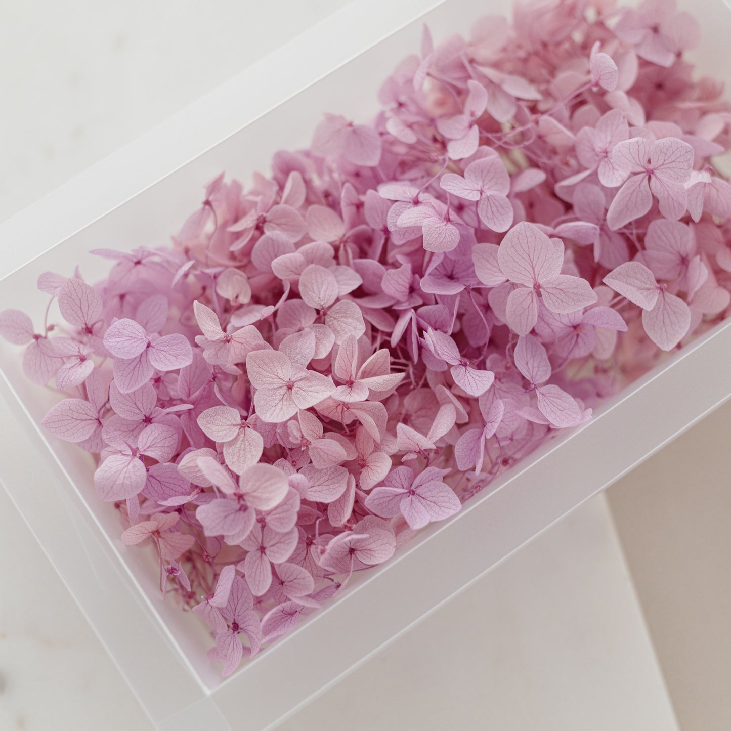 Mauve – Dried Hydrangea Box