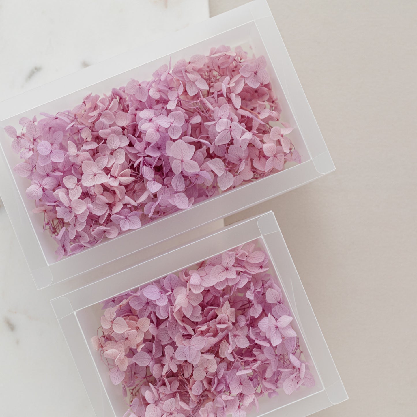 Mauve – Dried Hydrangea Box