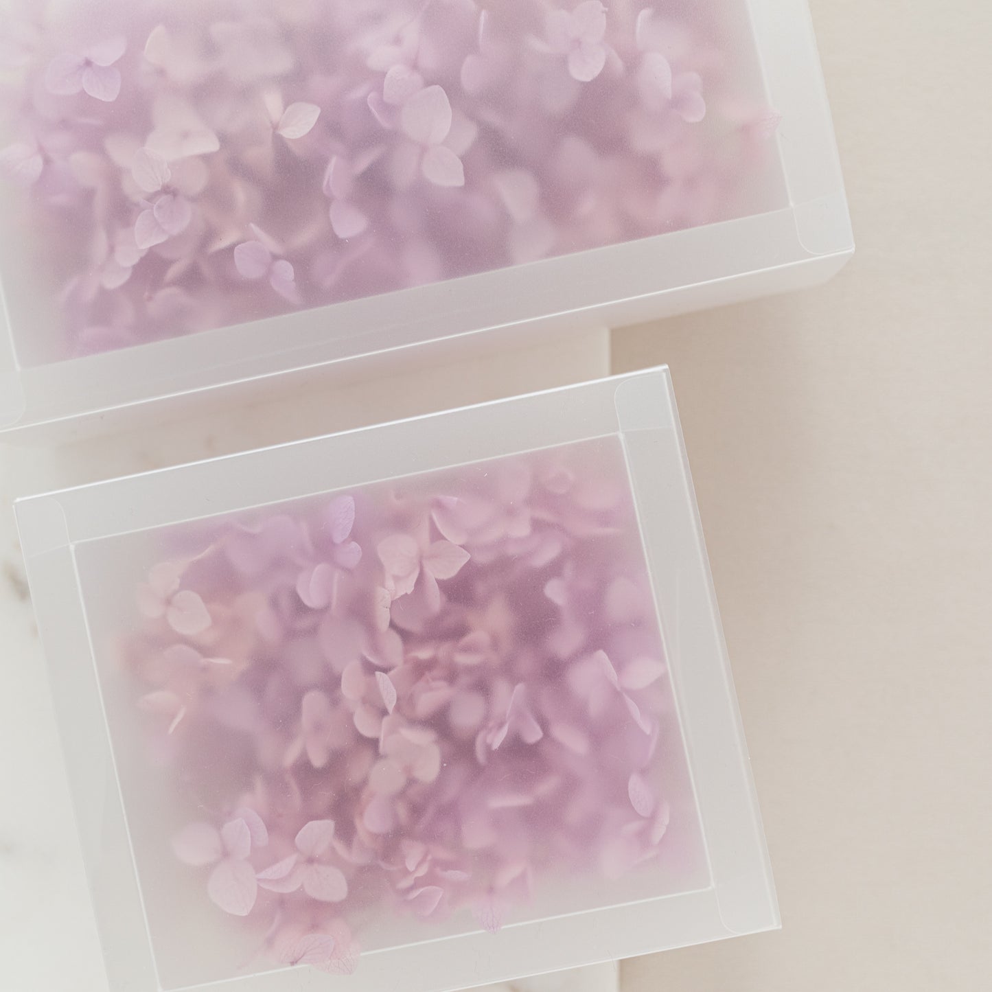 Mauve – Dried Hydrangea Box