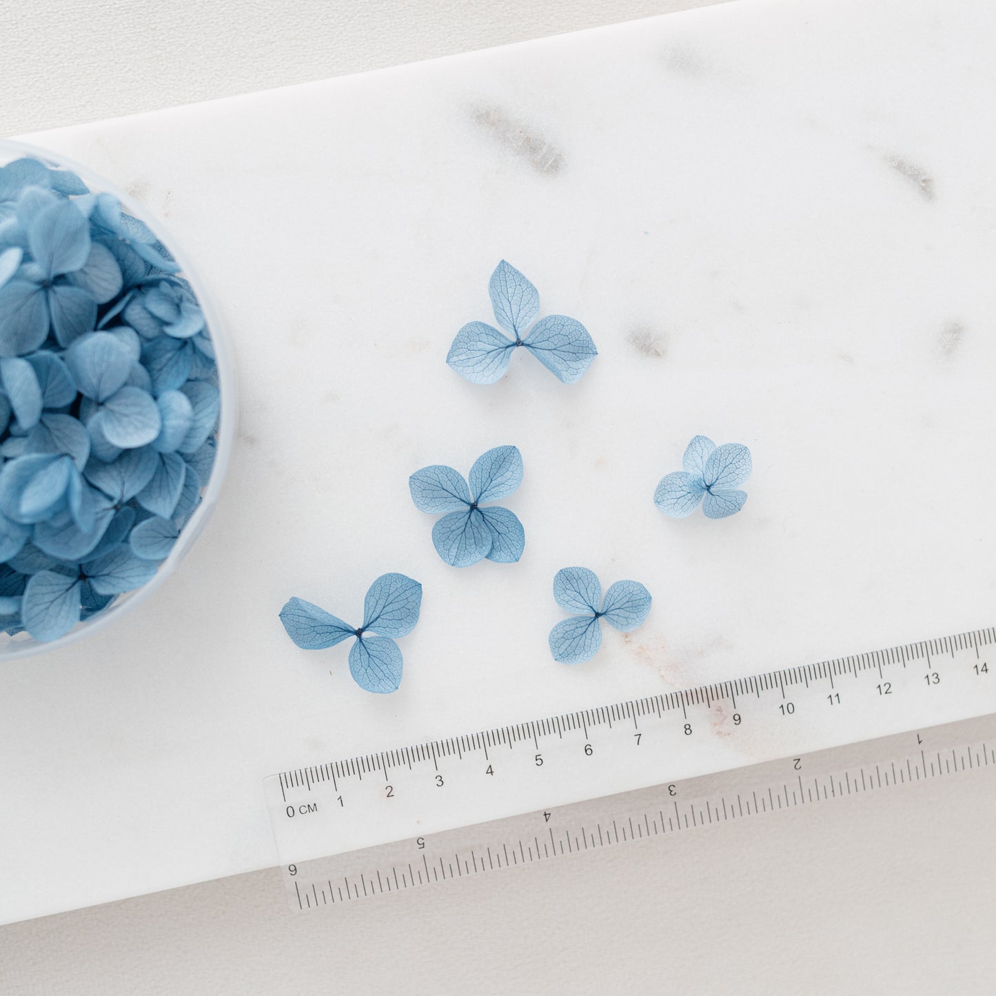 Midnight Blue – Dried Hydrangea Petals