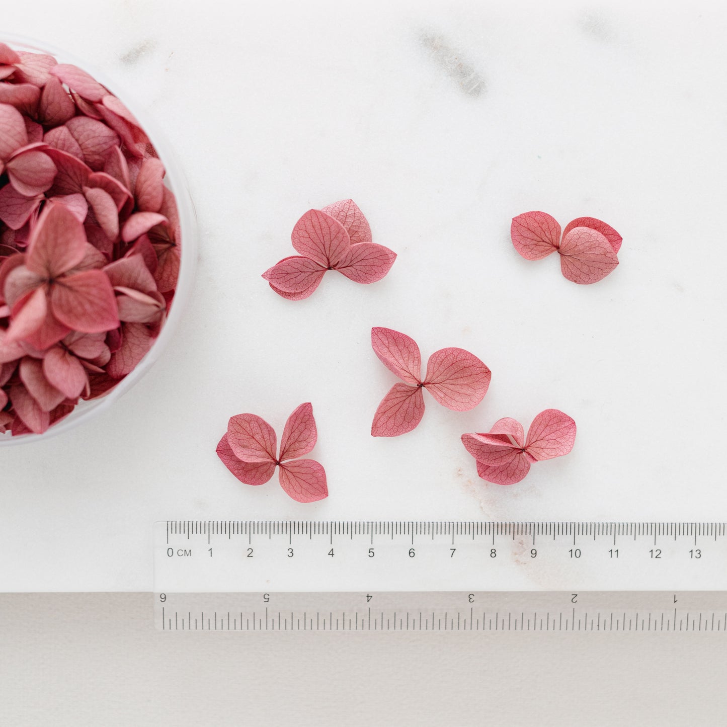 Carmine – Dried Hydrangea Petals