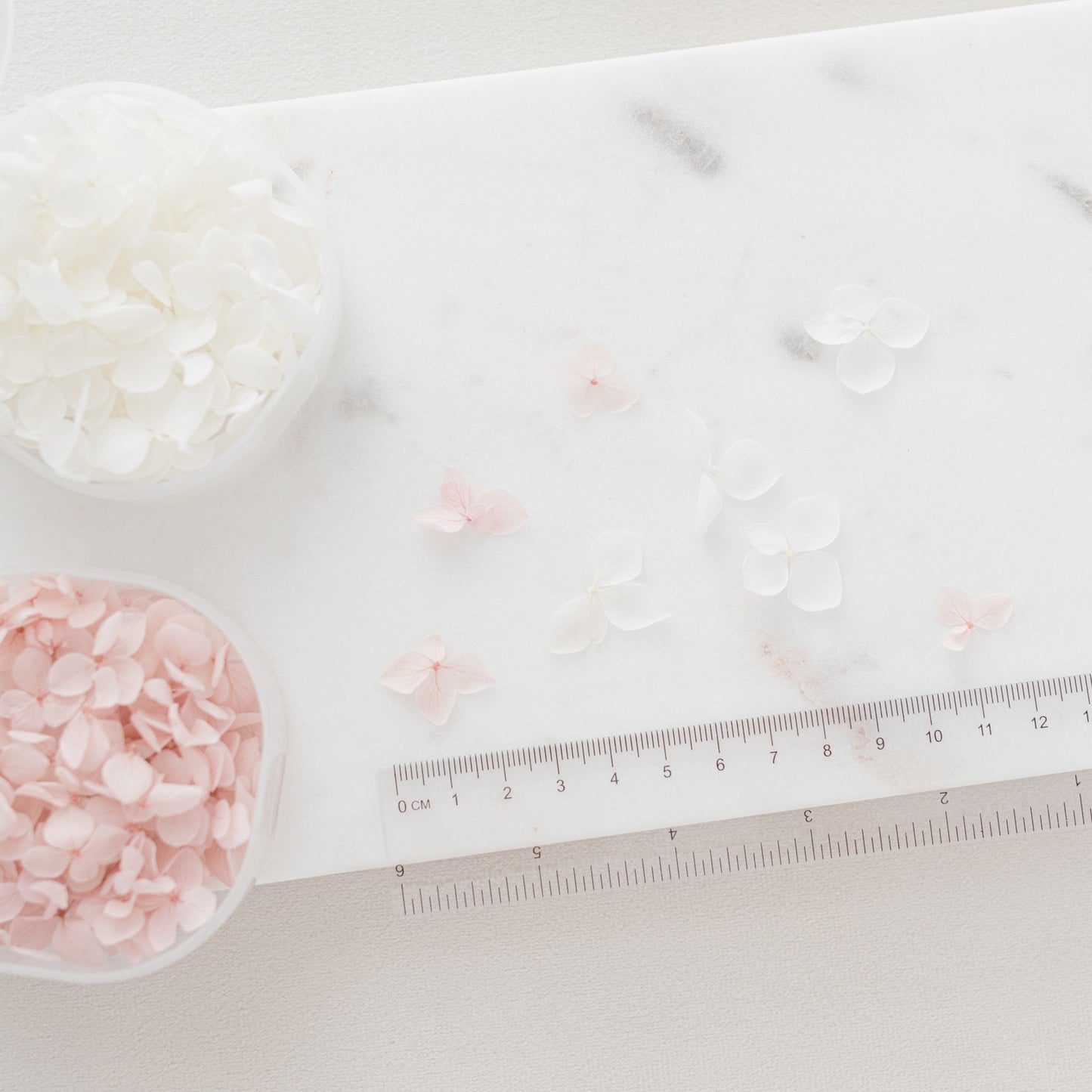 White – Dried Hydrangea Petals
