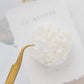 White – Dried Hydrangea Petals