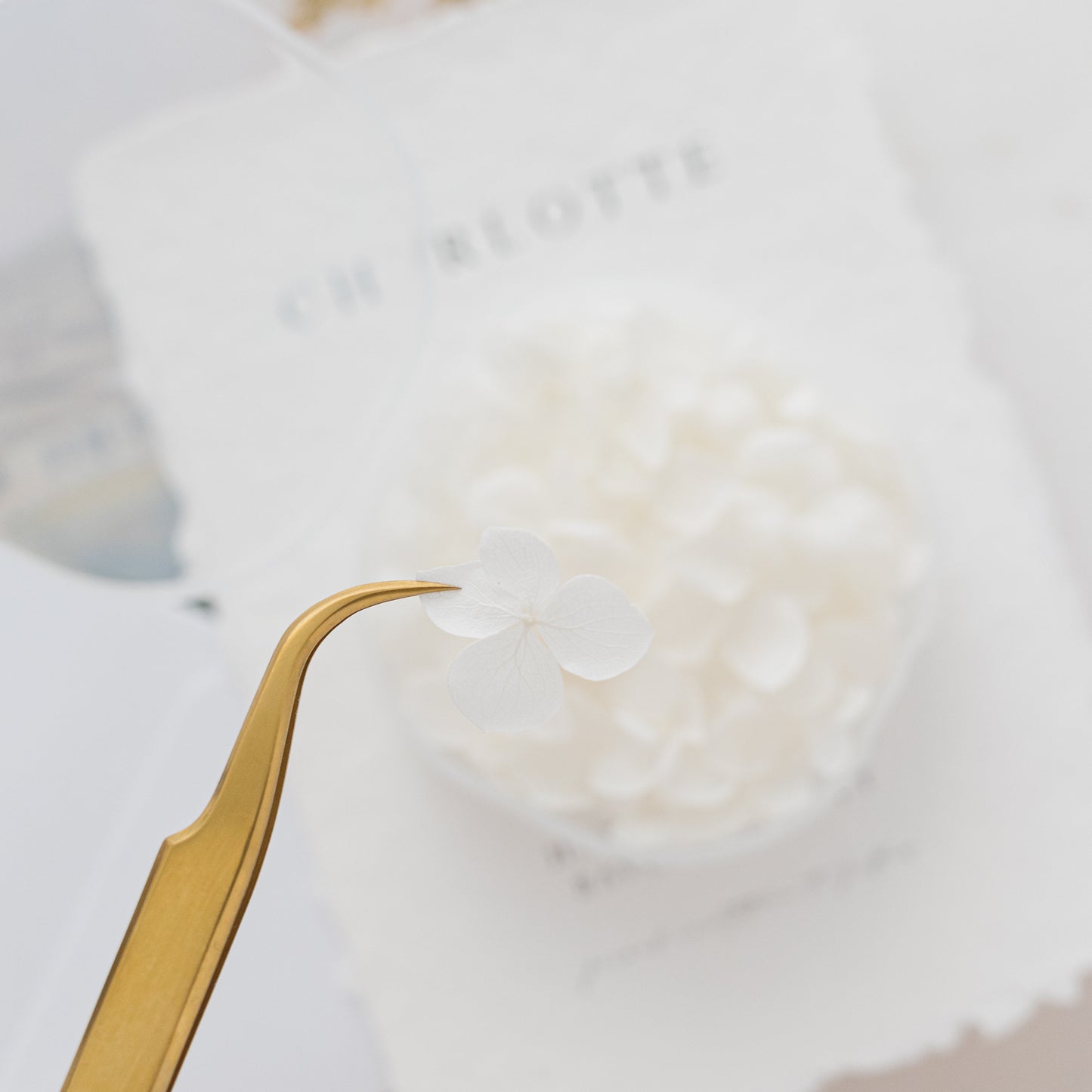 White – Dried Hydrangea Petals