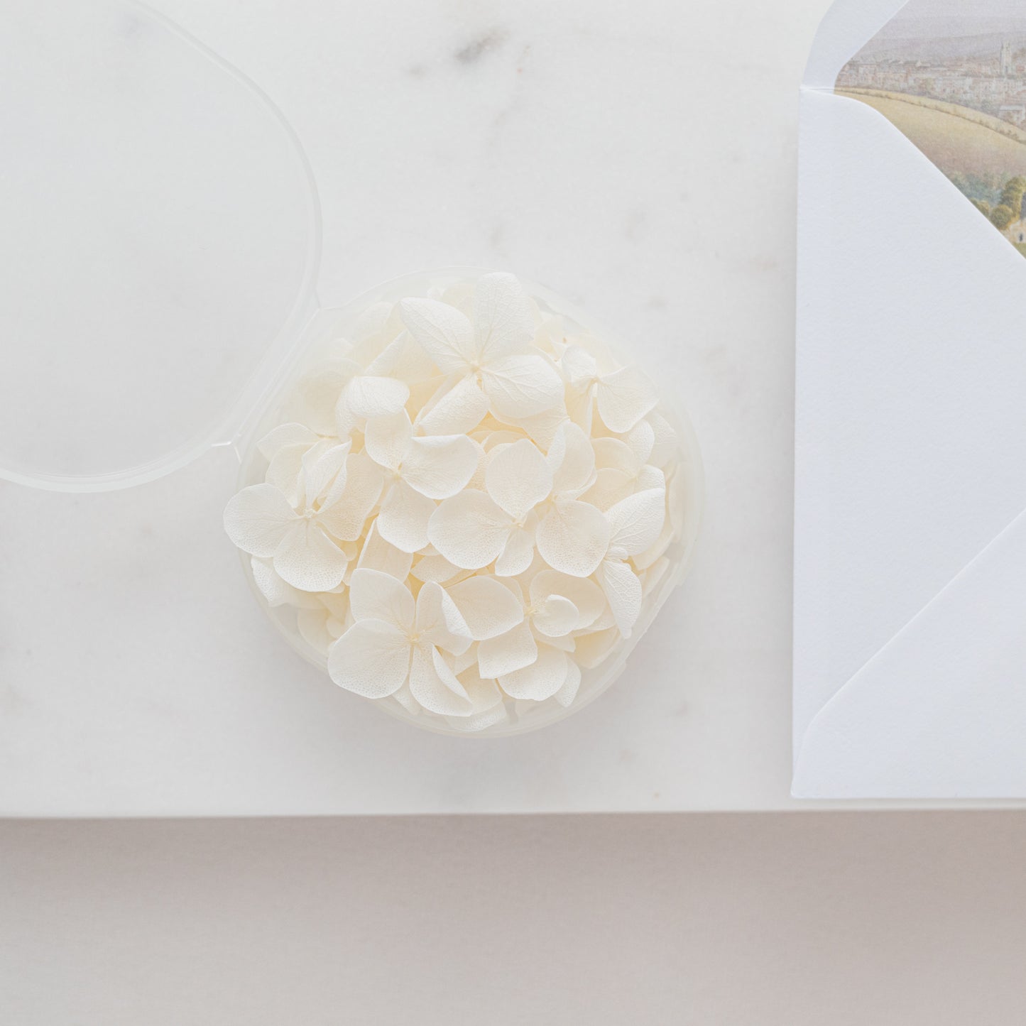 Cotton – Dried Hydrangea Petals
