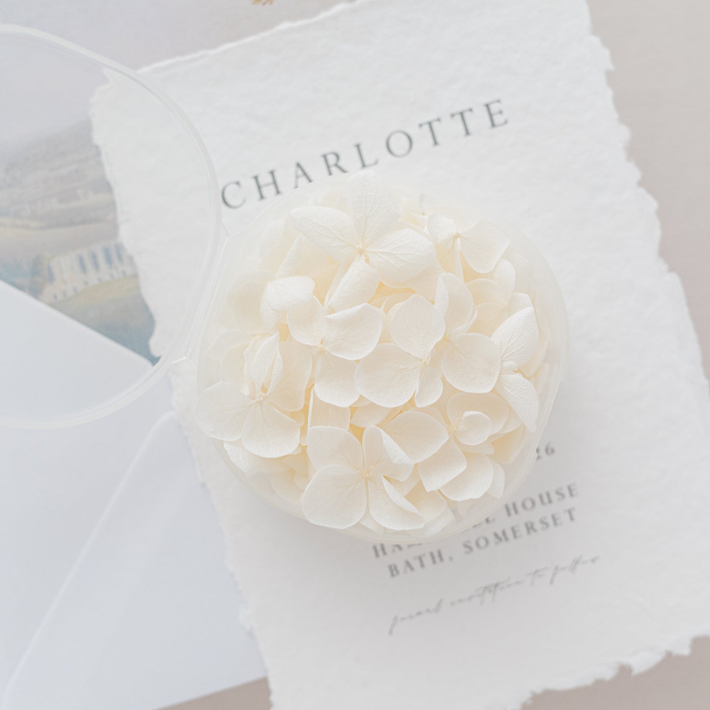 Cotton – Dried Hydrangea Petals