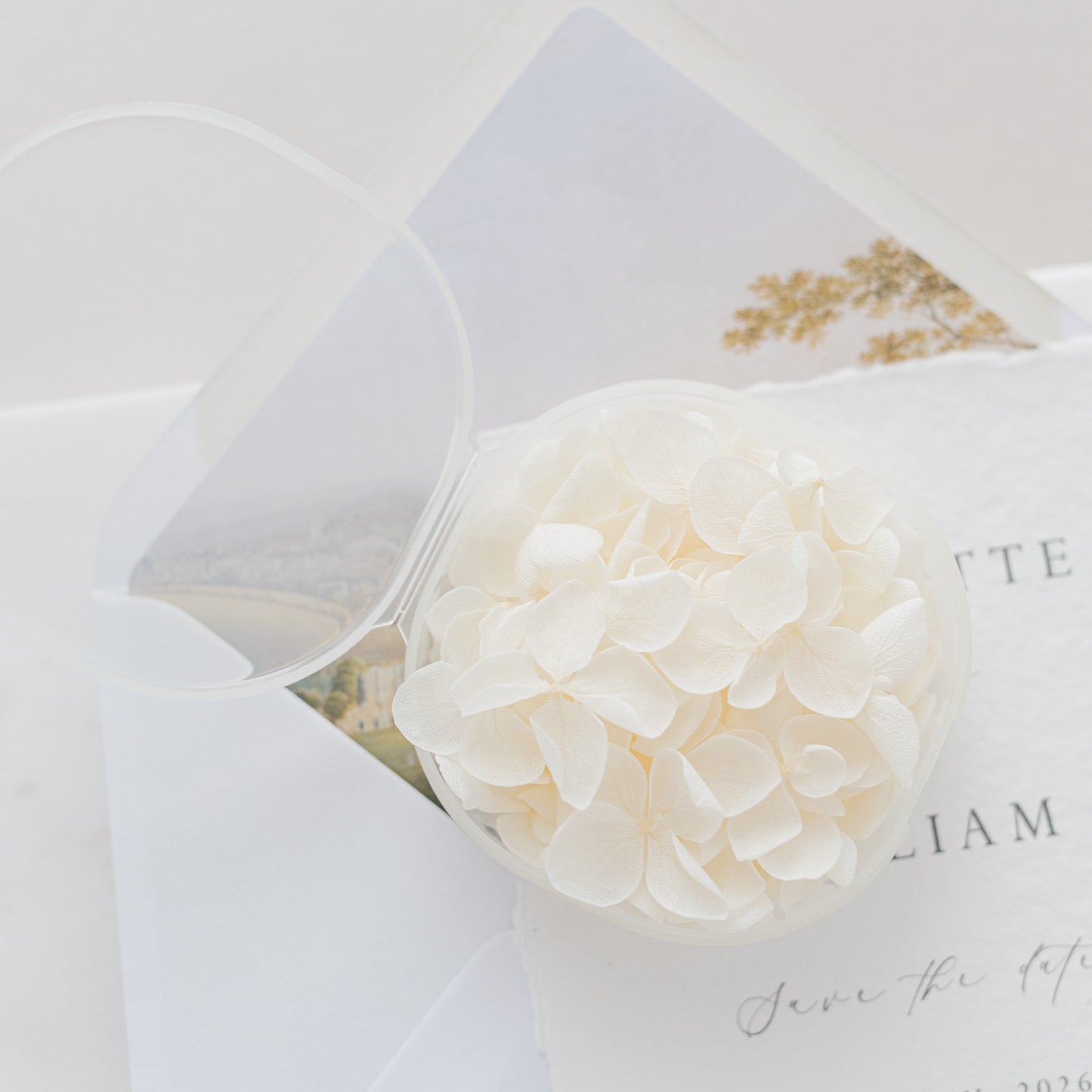 Cotton – Dried Hydrangea Petals