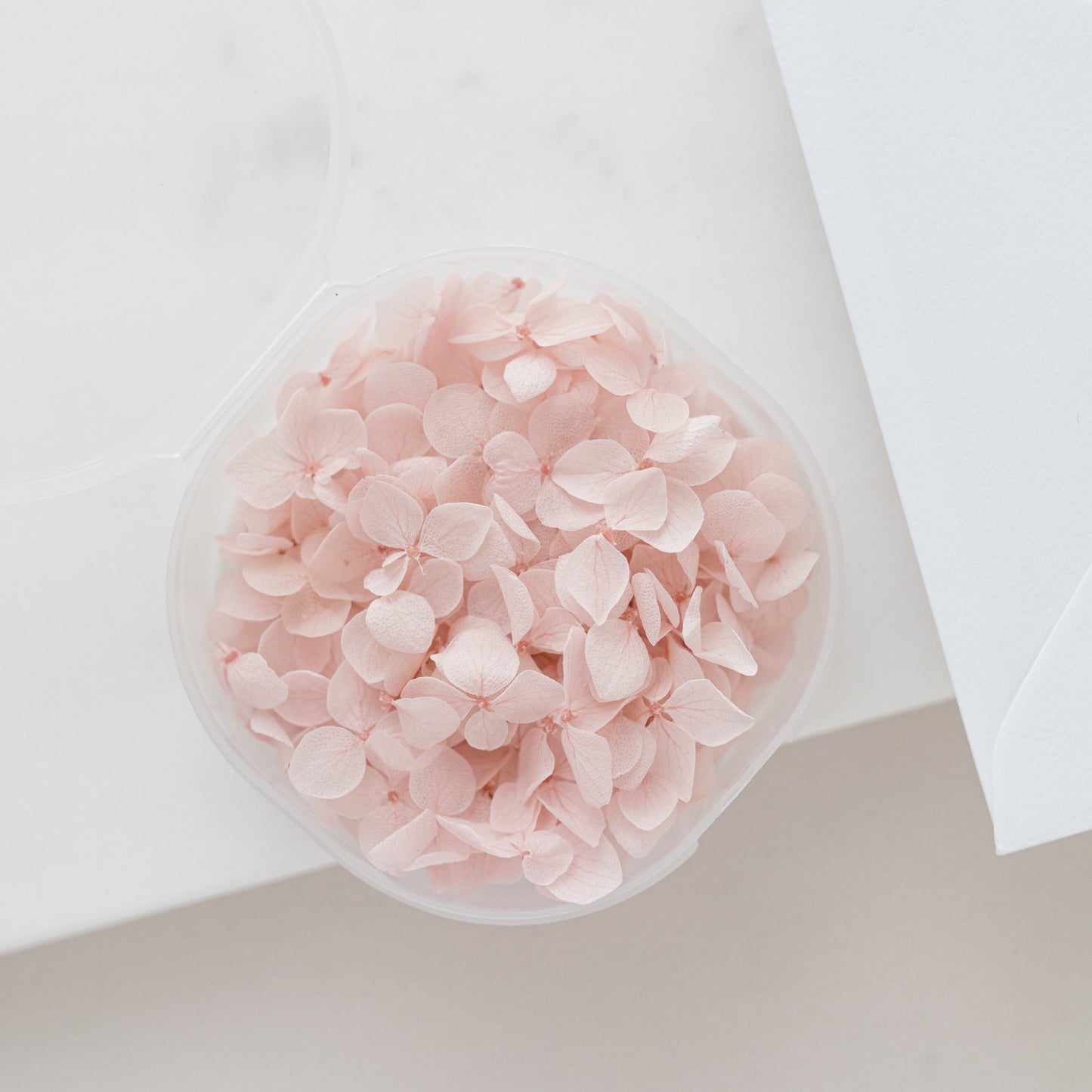 Pale Blush – Dried Hydrangea Petals