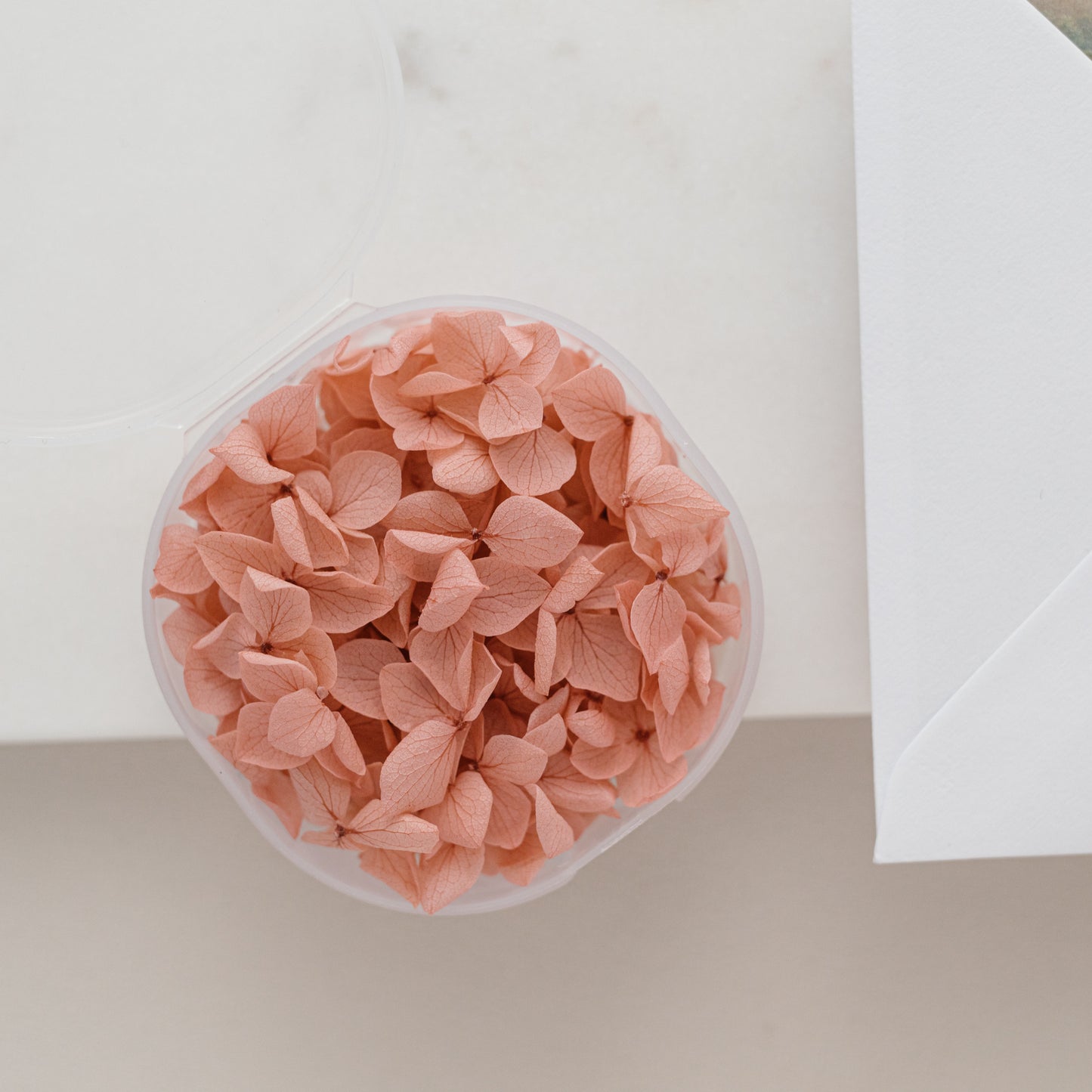 English Rose – Dried Hydrangea Petals