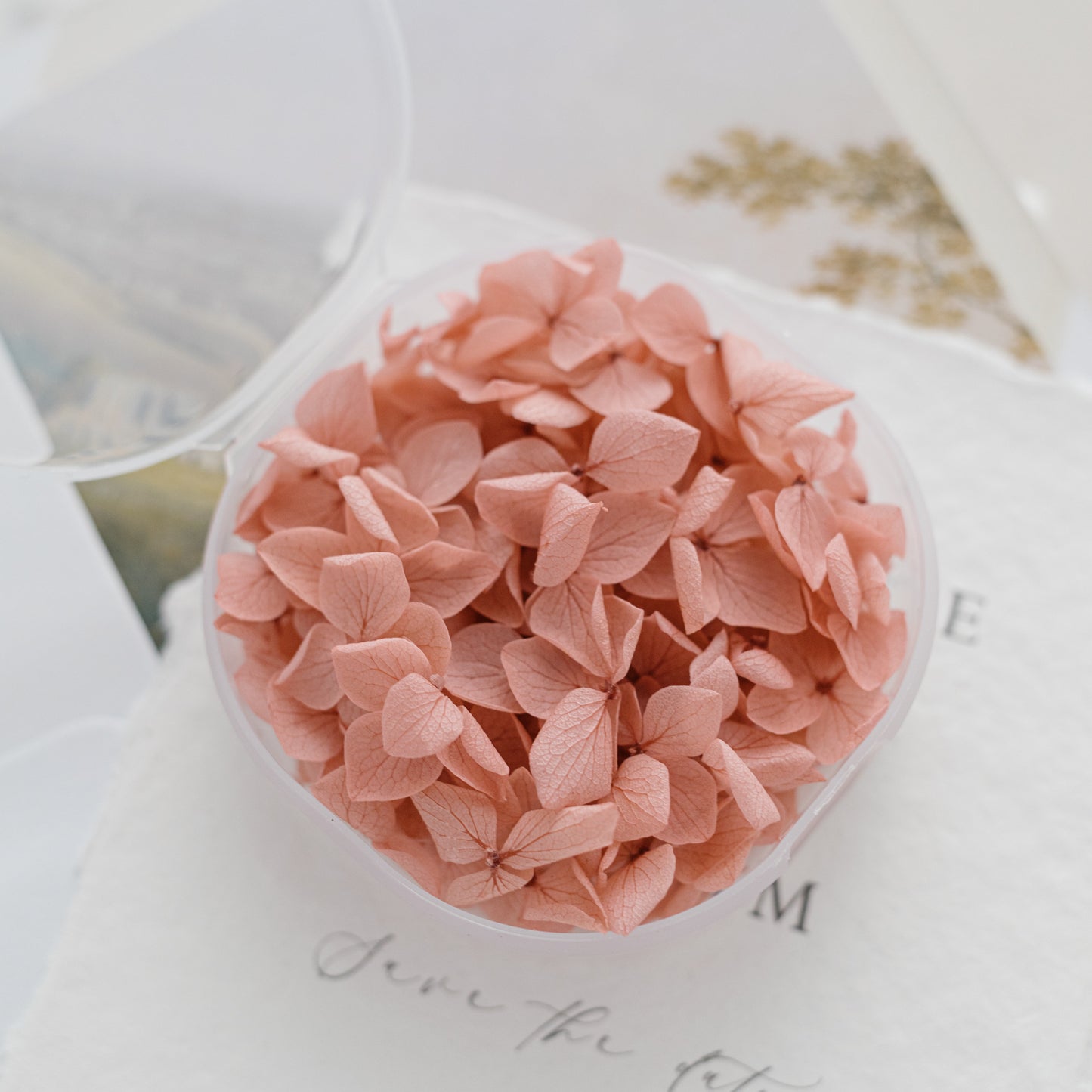 English Rose – Dried Hydrangea Petals