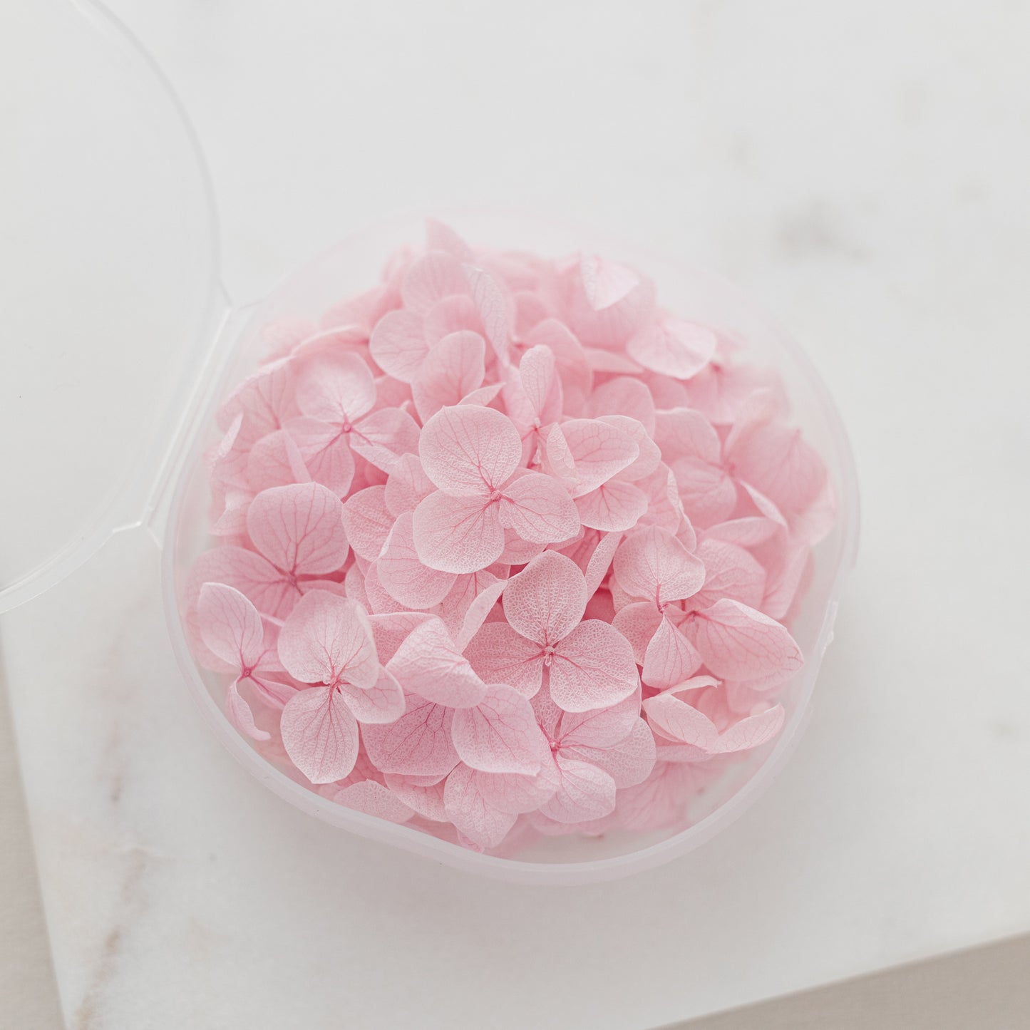 Orchid – Dried Hydrangea Petals