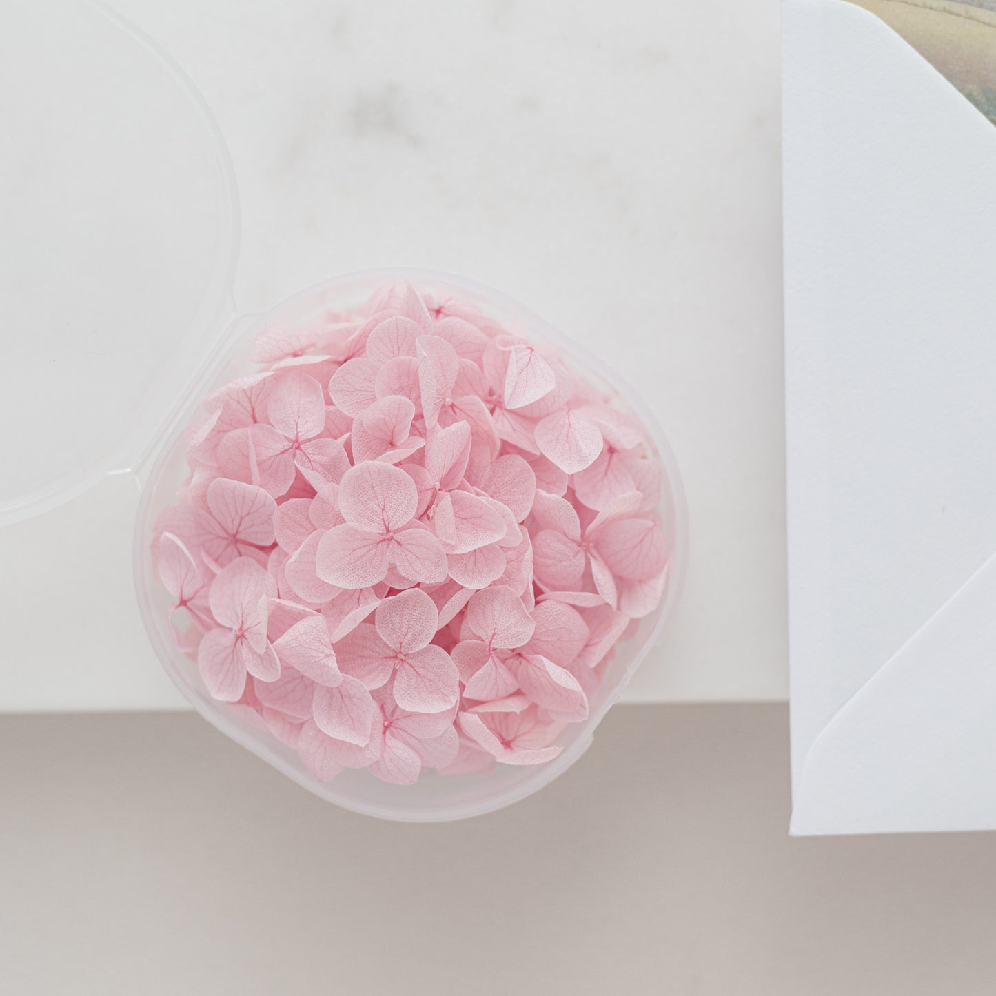 Orchid – Dried Hydrangea Petals