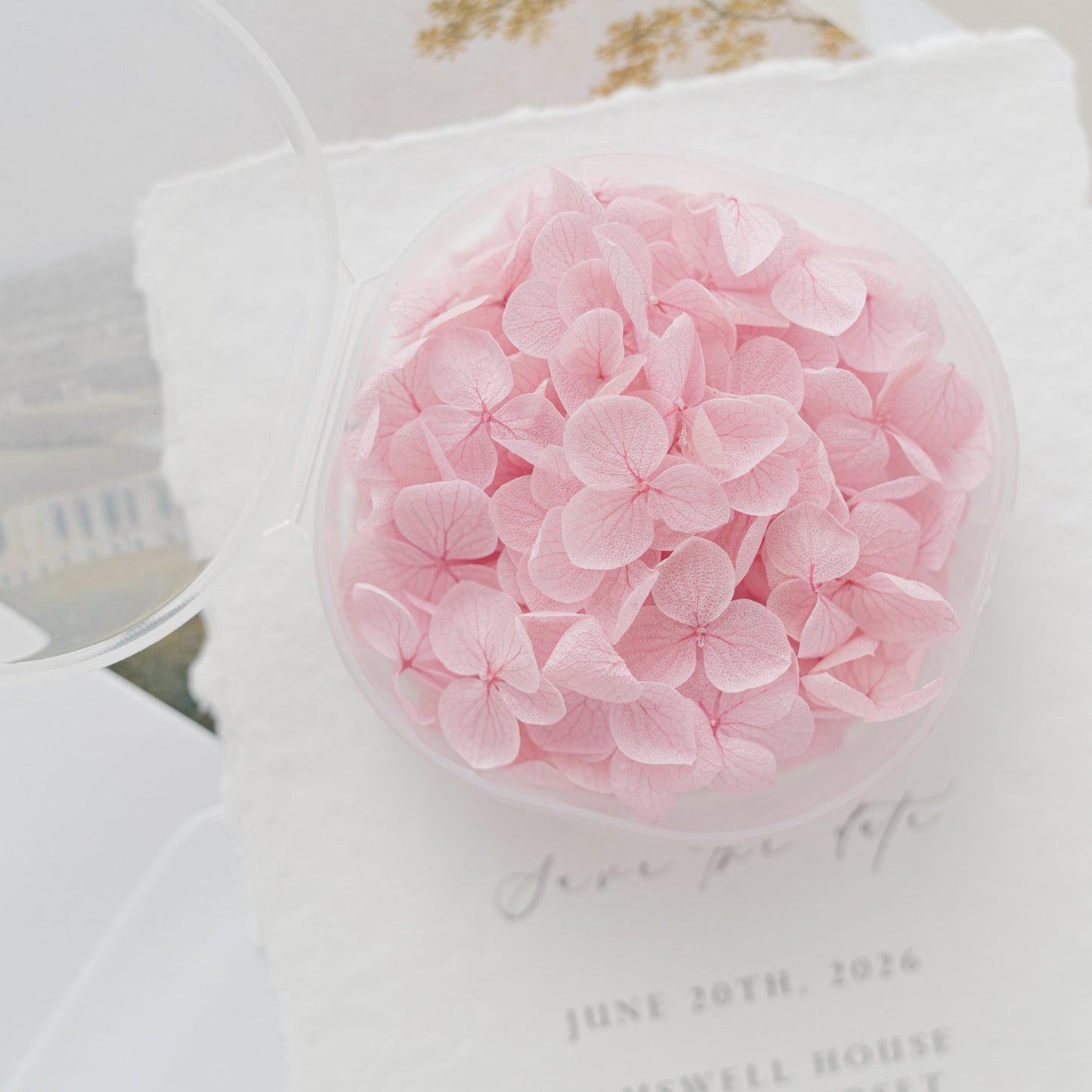 Orchid – Dried Hydrangea Petals