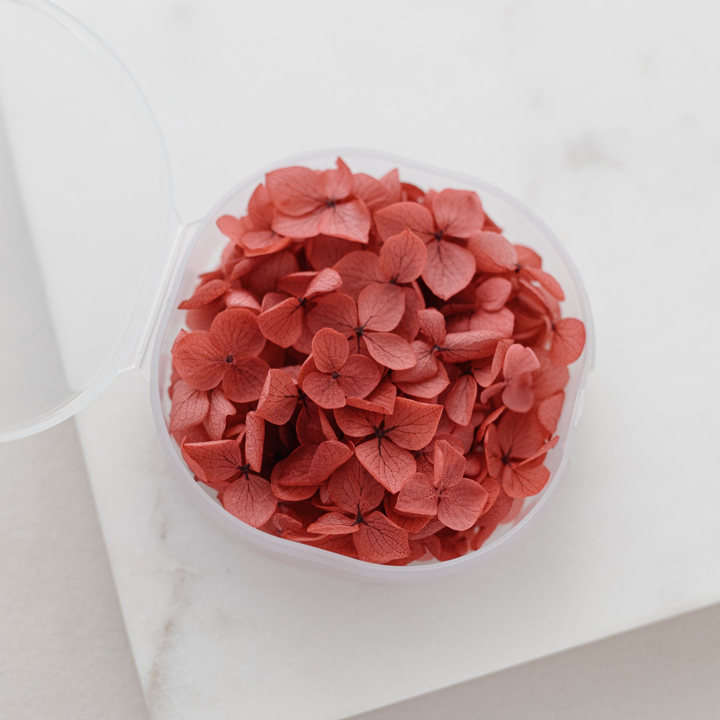 Merlot – Dried Hydrangea Petals