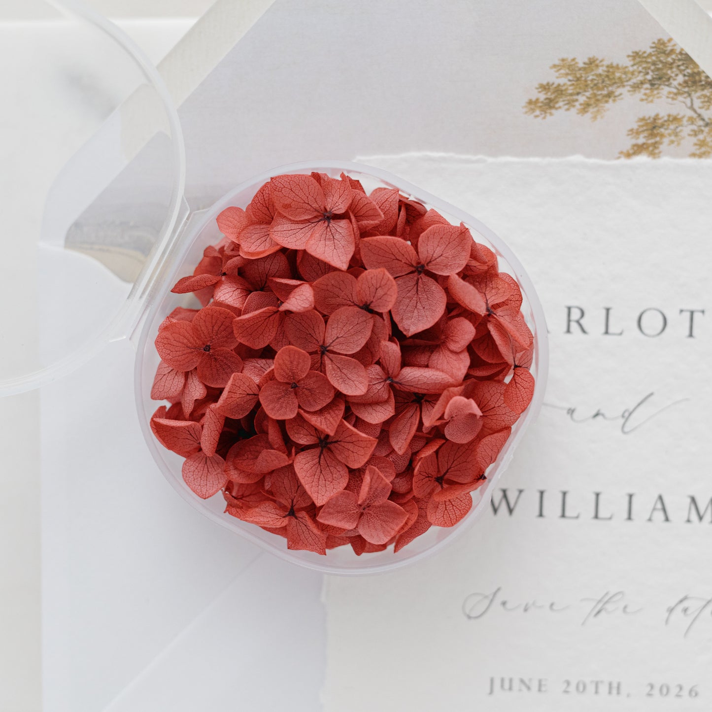 Merlot – Dried Hydrangea Petals
