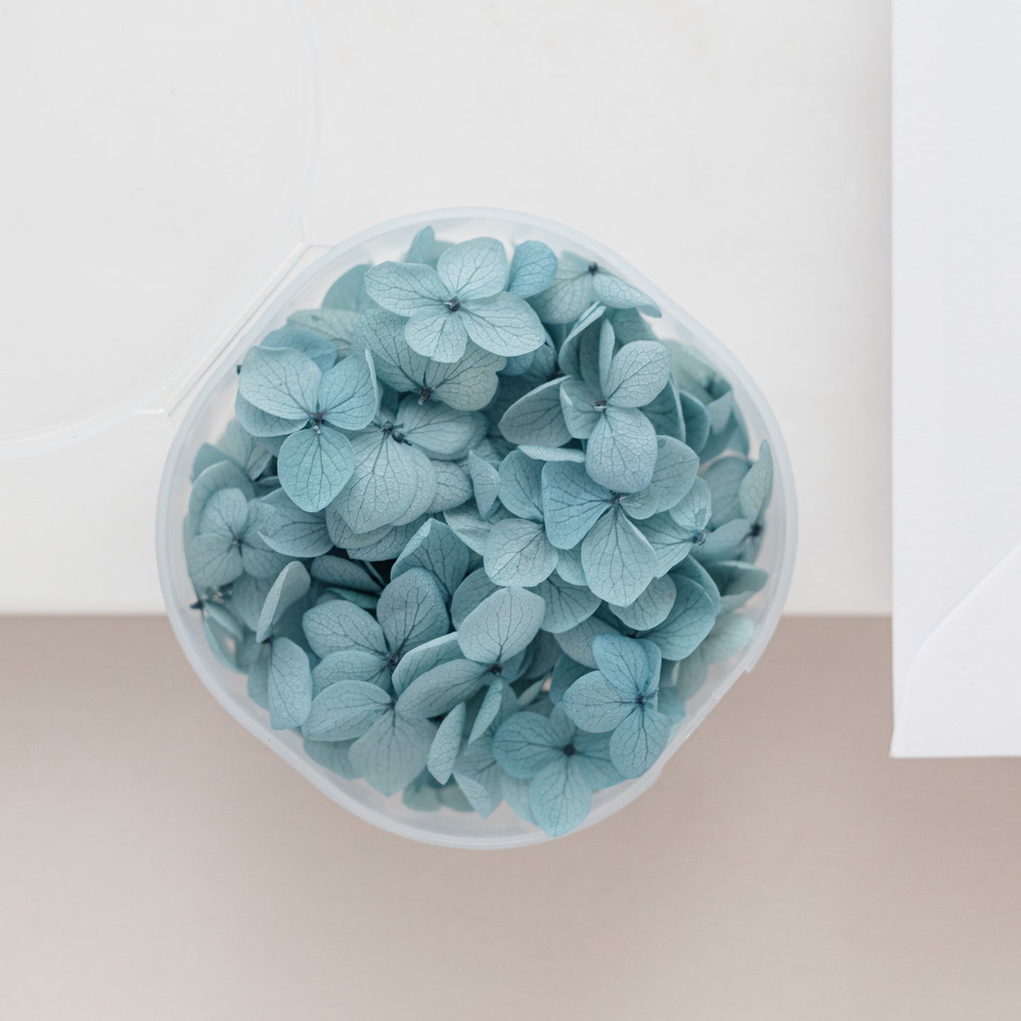 Aegean – Dried Hydrangea Petals