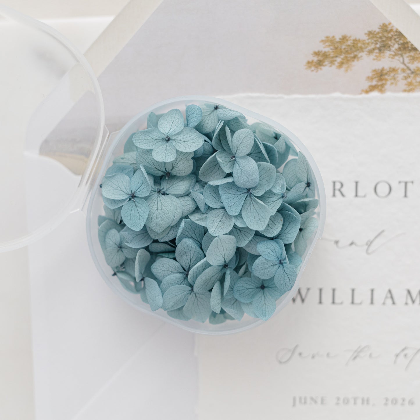 Aegean – Dried Hydrangea Petals