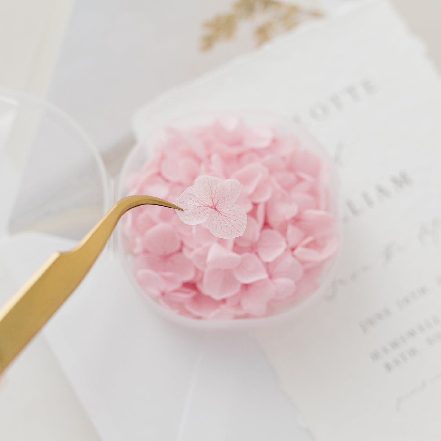 Orchid – Dried Hydrangea Petals