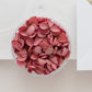Carmine – Dried Hydrangea Petals
