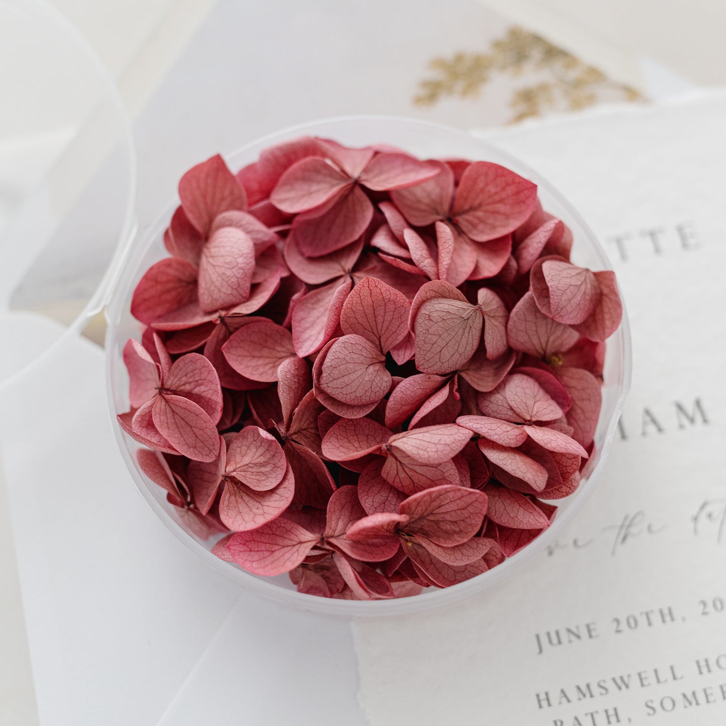 Carmine – Dried Hydrangea Petals