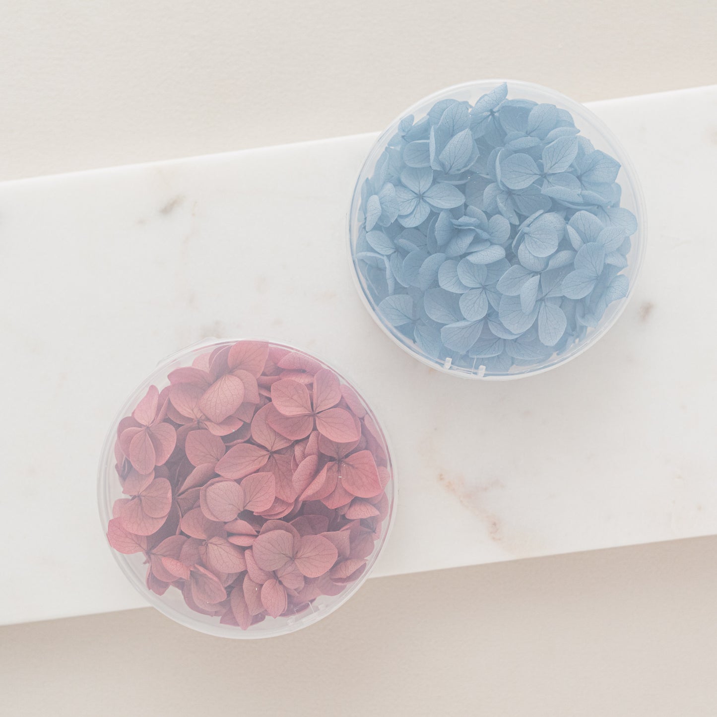 Orchid – Dried Hydrangea Petals