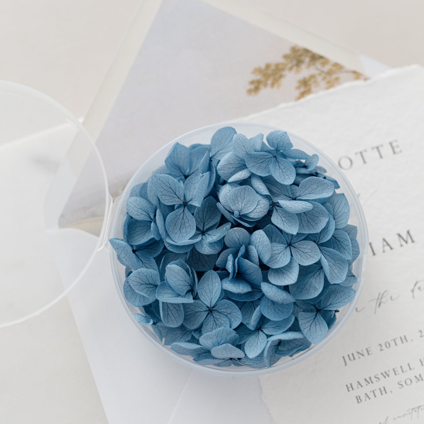 Midnight Blue – Dried Hydrangea Petals