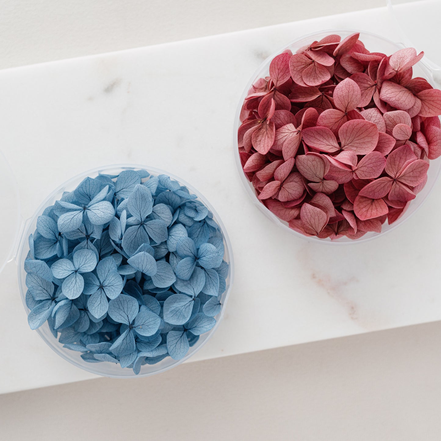 Midnight Blue – Dried Hydrangea Petals