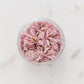 ✧ SALE ✧ Dried Cherry Blossoms