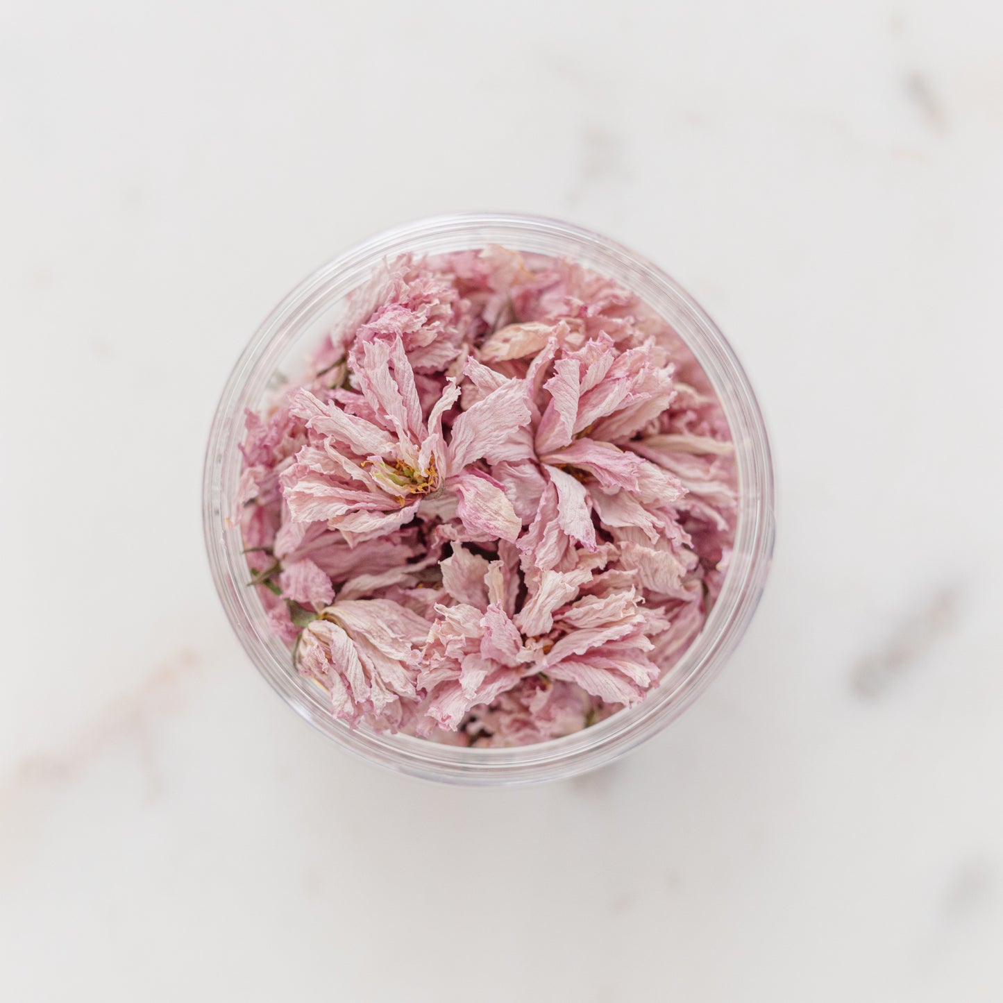 ✧ SALE ✧ Dried Cherry Blossoms