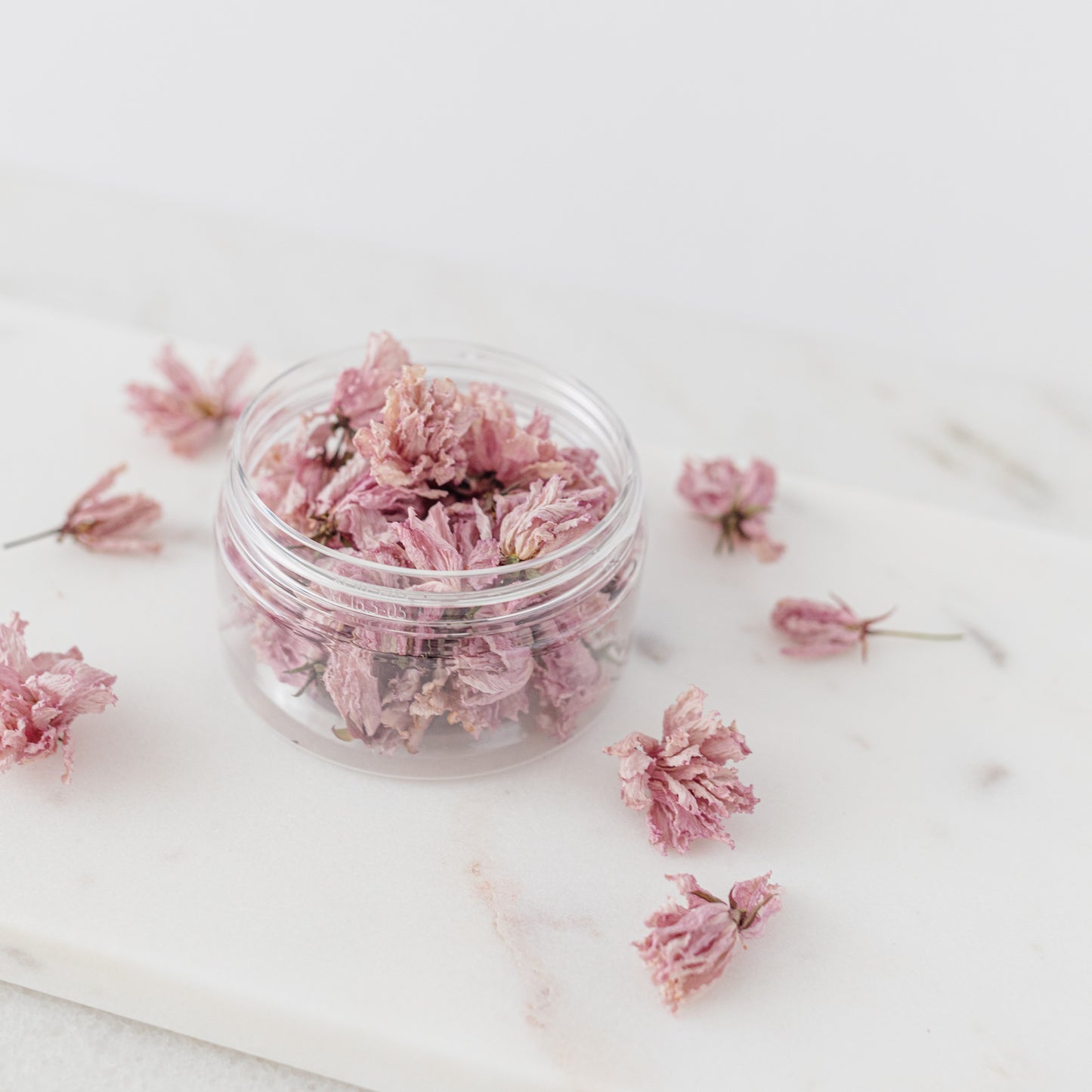 ✧ SALE ✧ Dried Cherry Blossoms