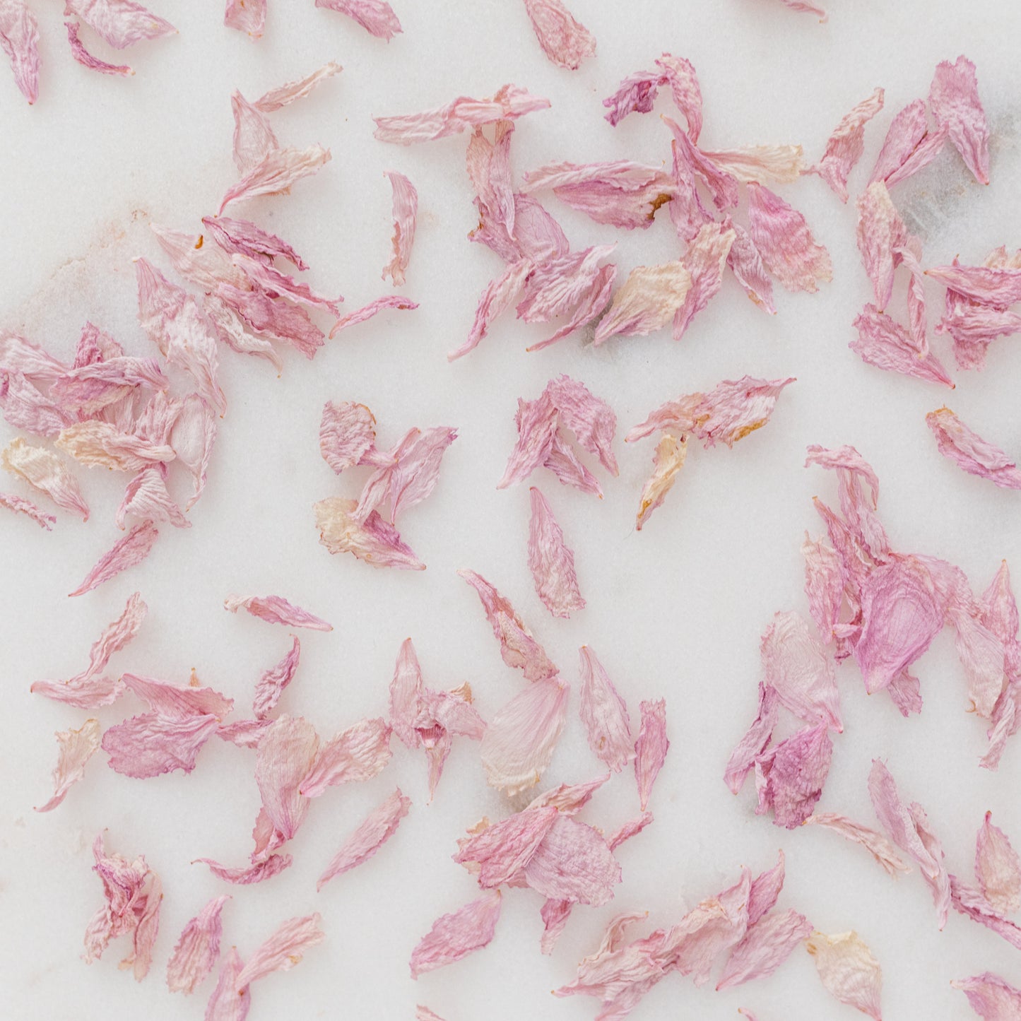 Dried Cherry Blossom Petals